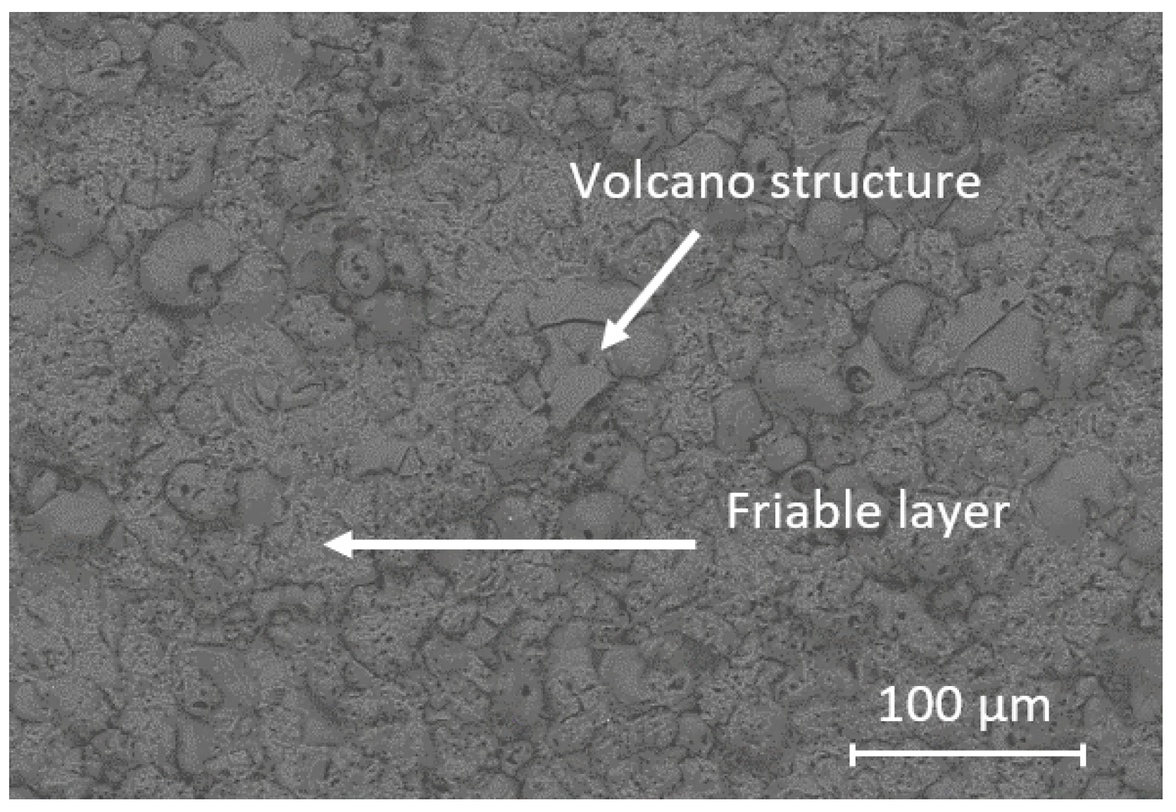 Coatings 13 00373 g001