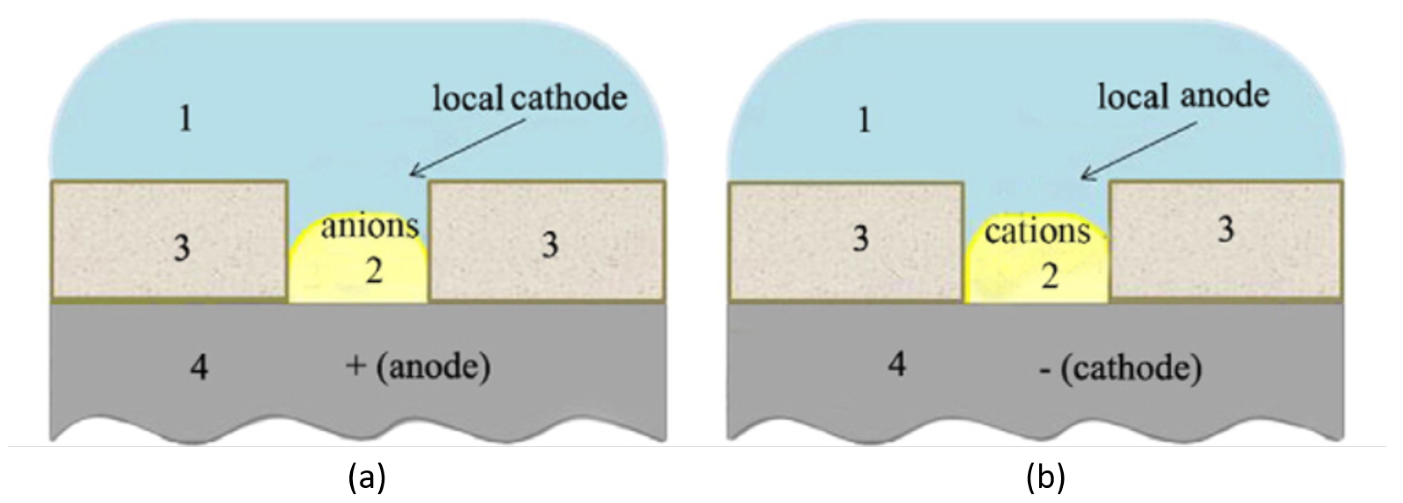 Coatings 13 00373 g005