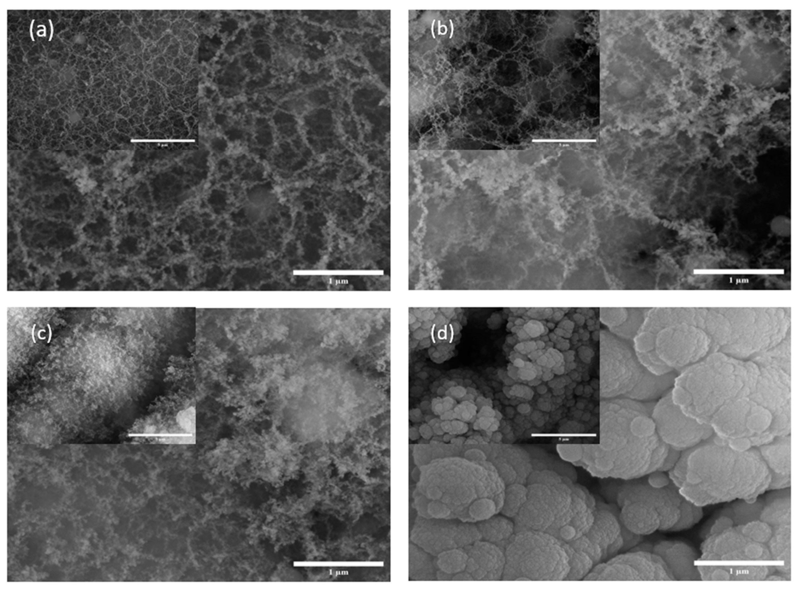 Coatings 13 00375 g001