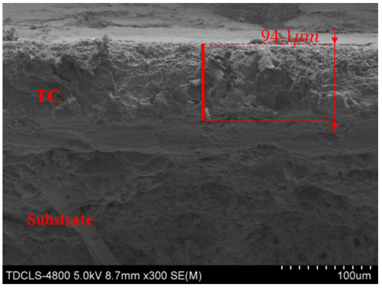 Coatings 13 00376 g005