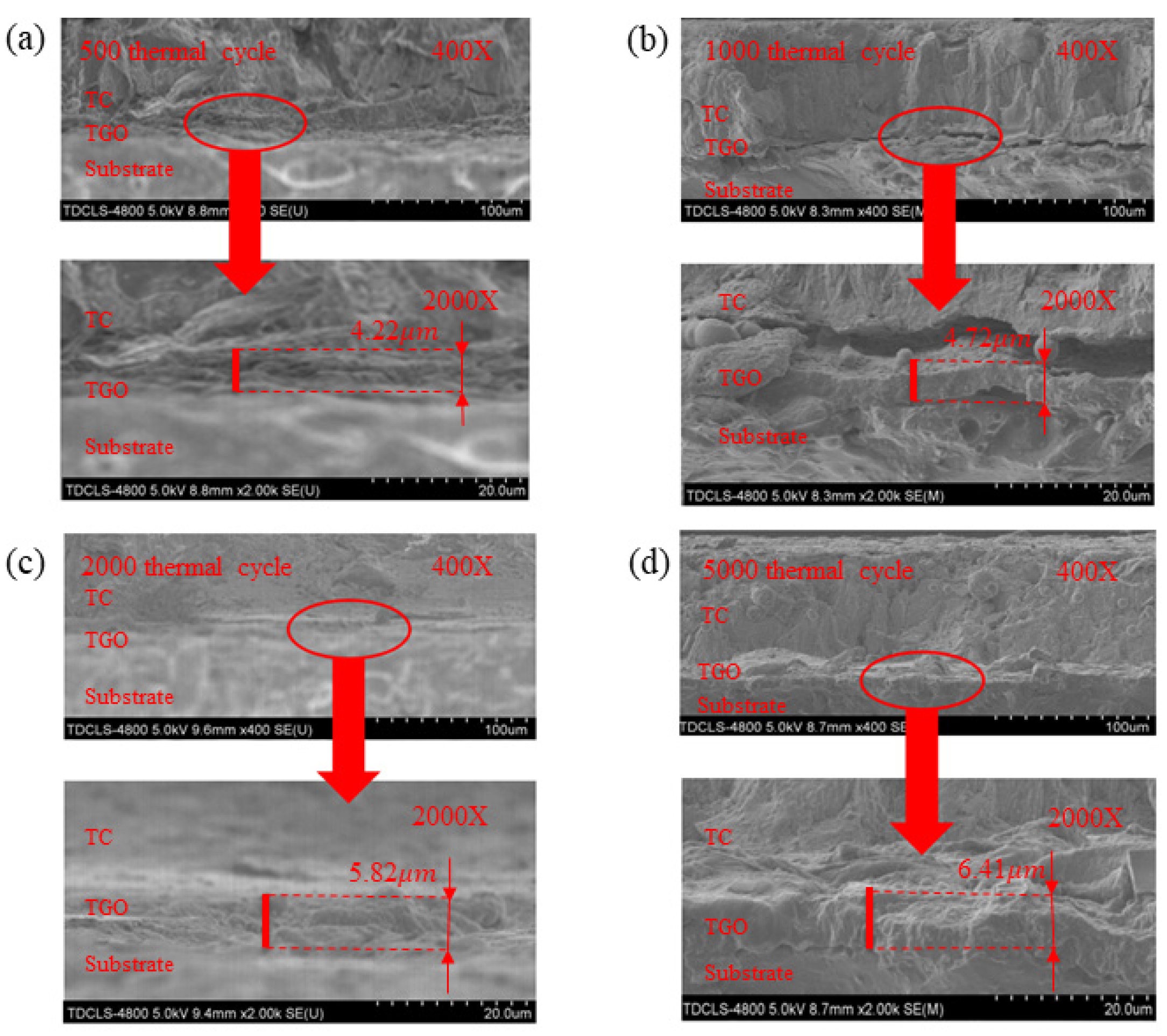 Coatings 13 00376 g008