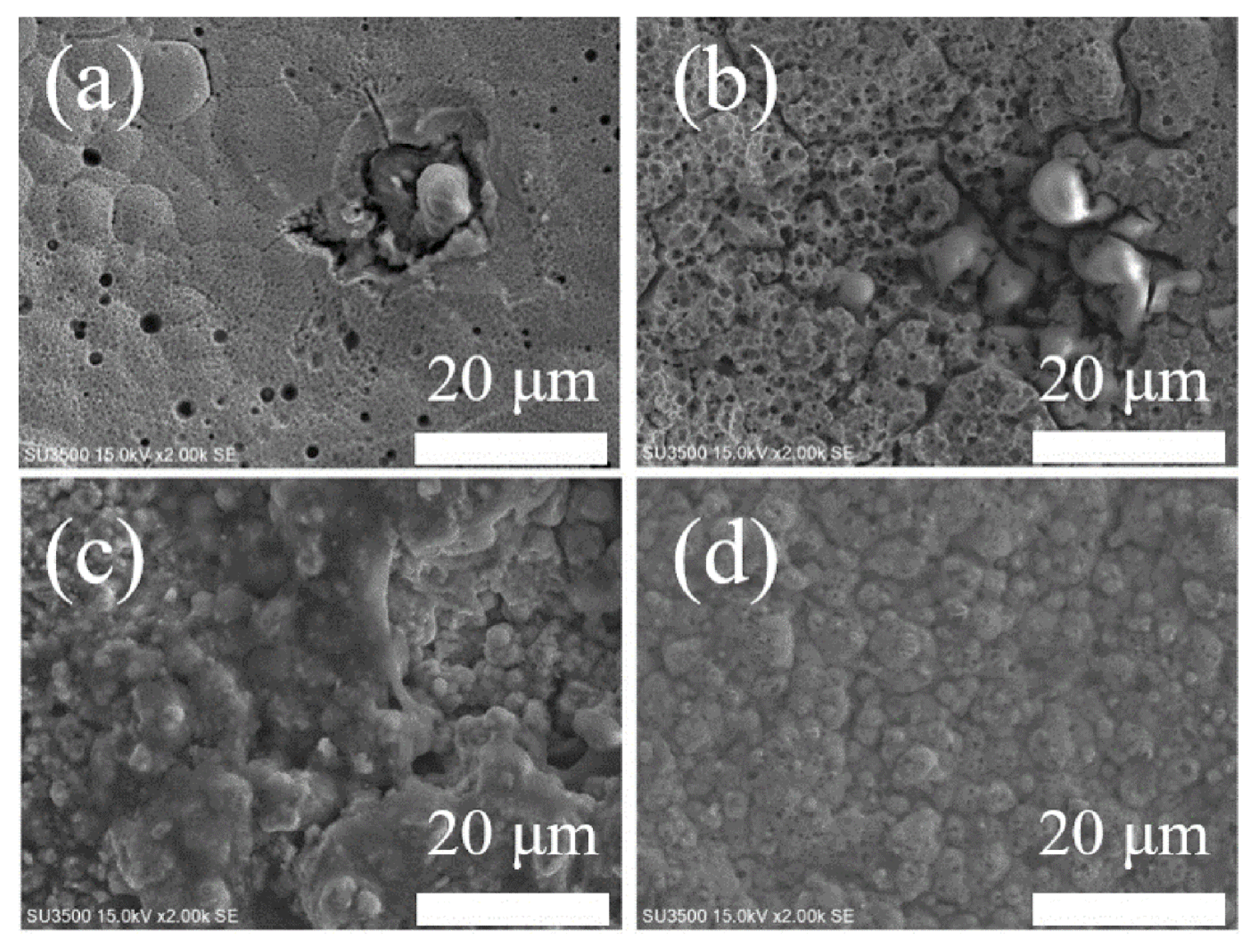 Coatings 13 00377 g006