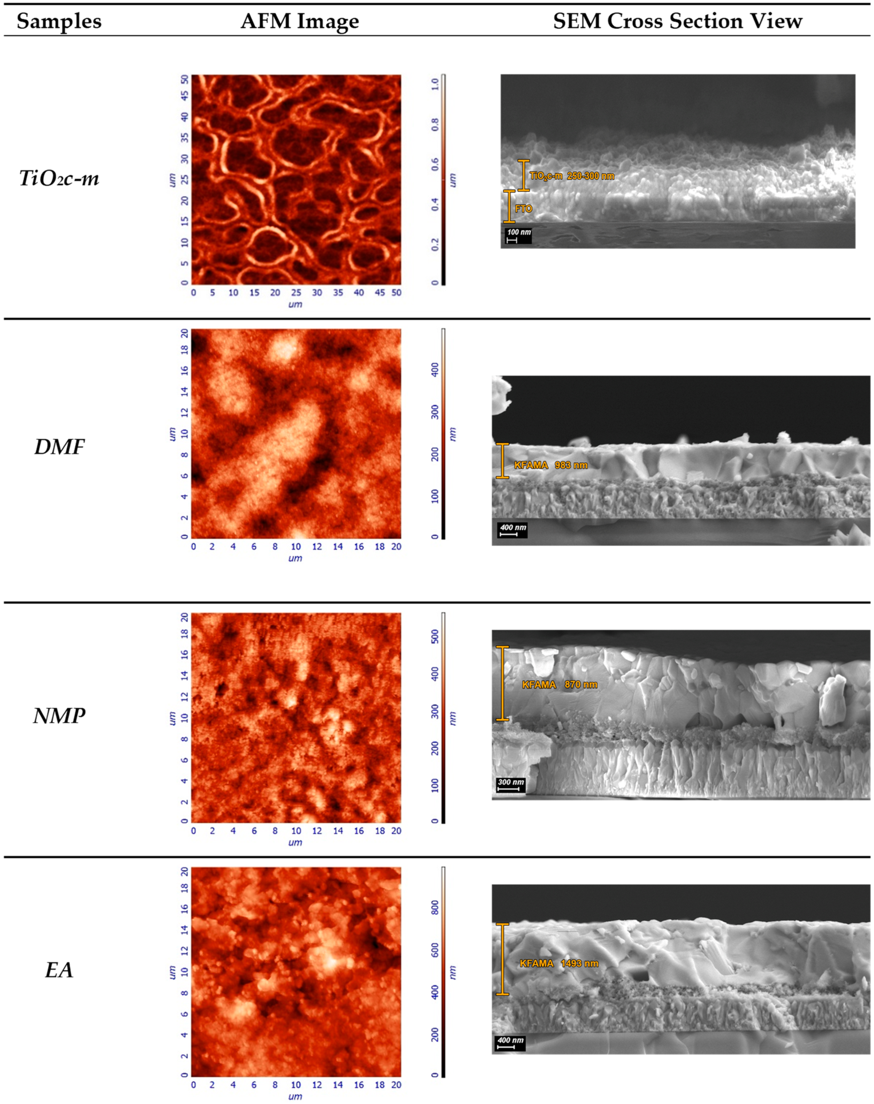 Coatings 13 00378 g001