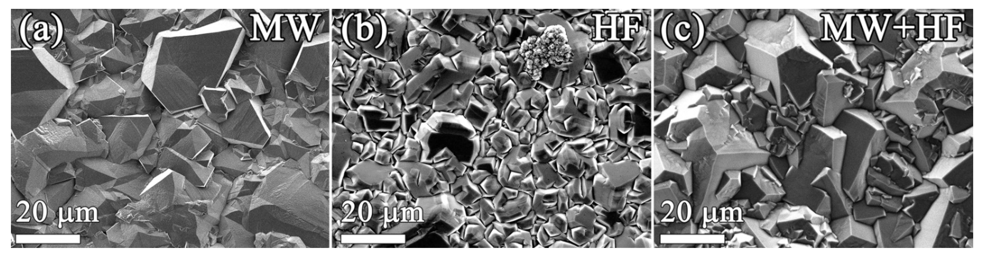 Coatings 13 00380 g003