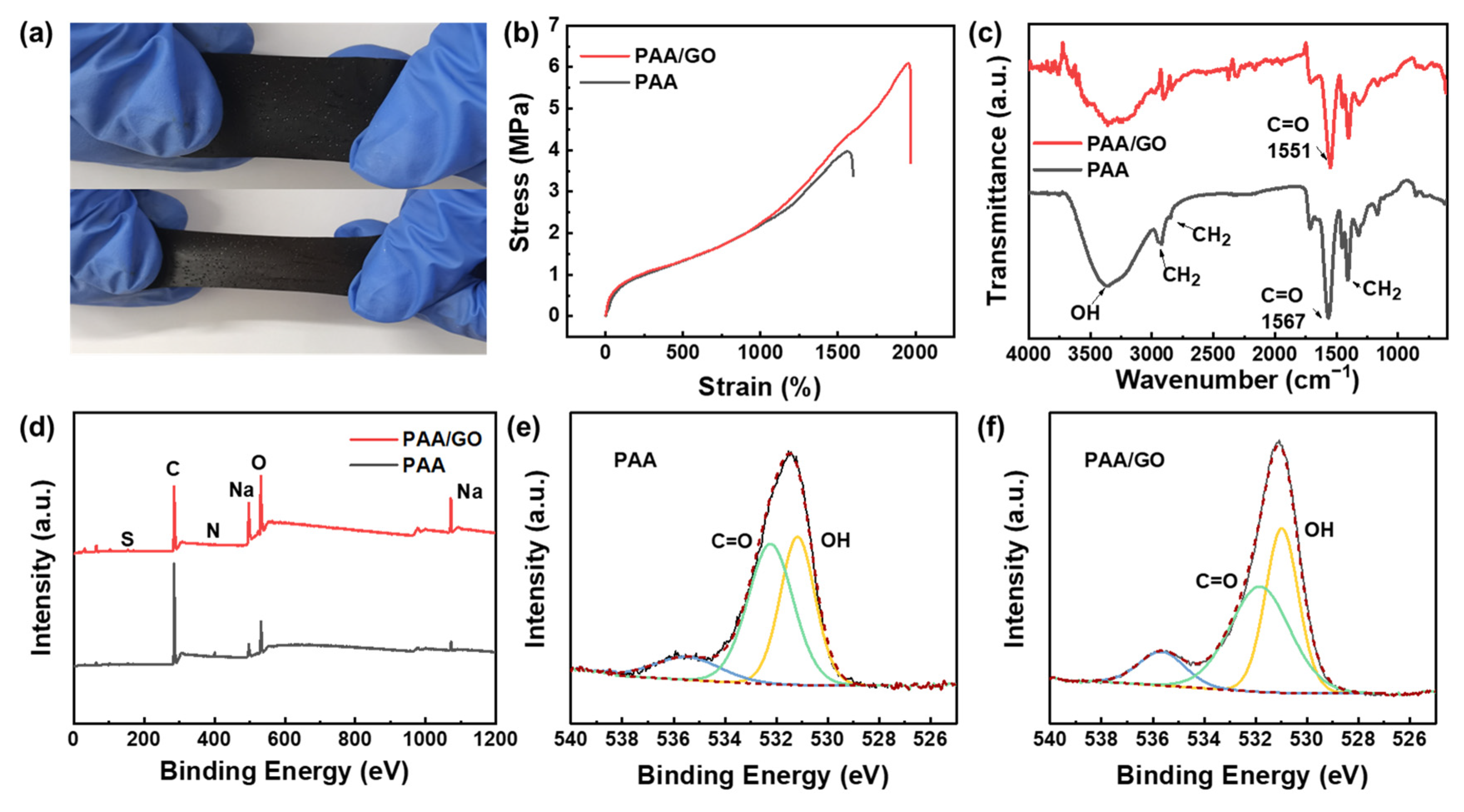 Coatings 13 00382 g003