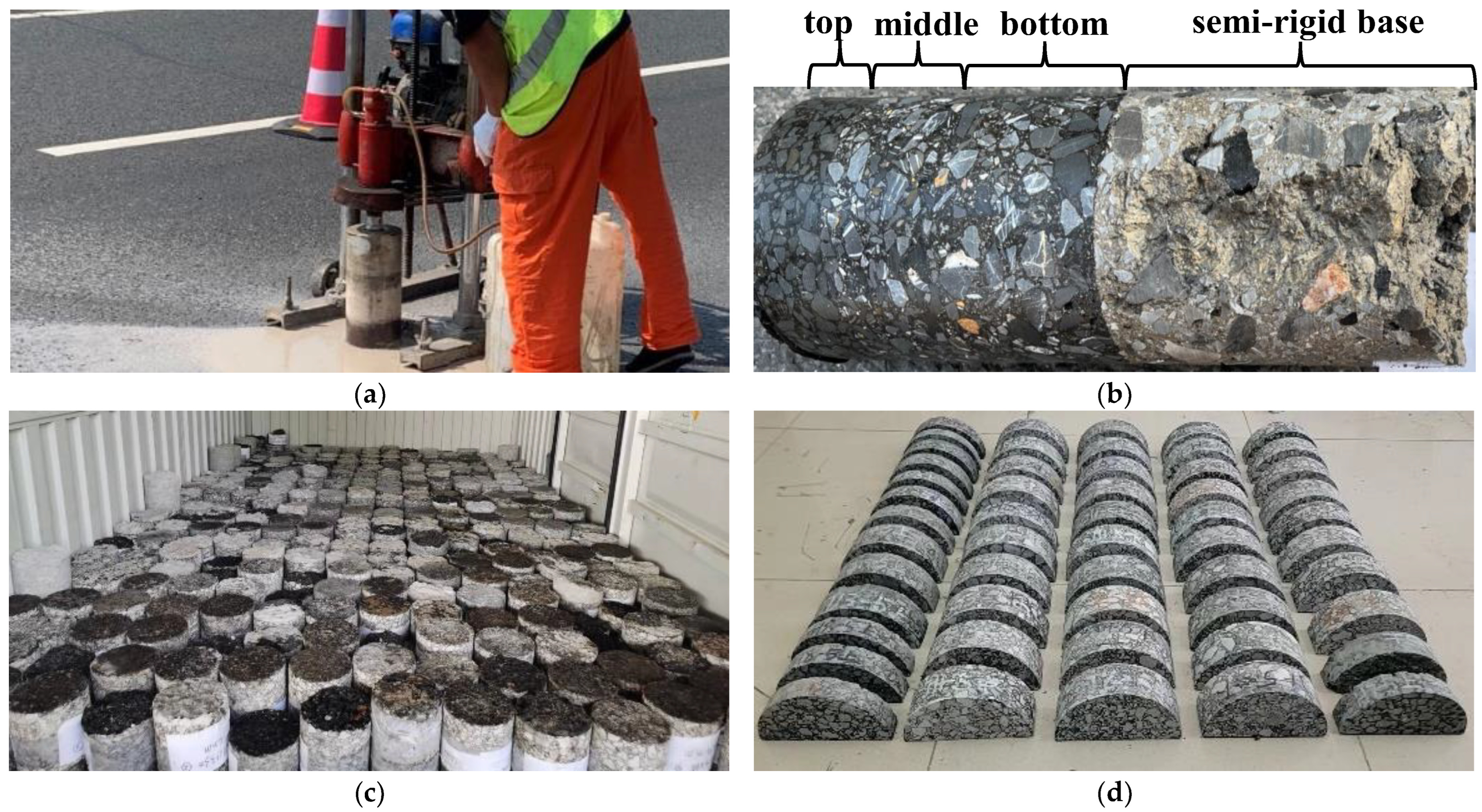 Coatings 13 00384 g002