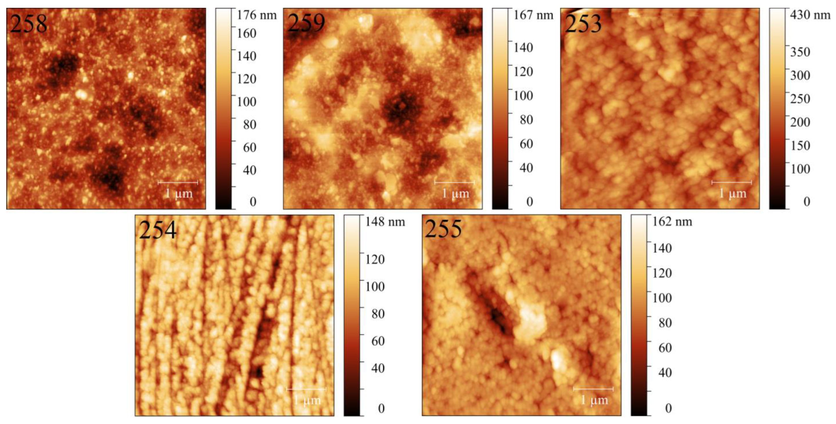Coatings 13 00385 g002