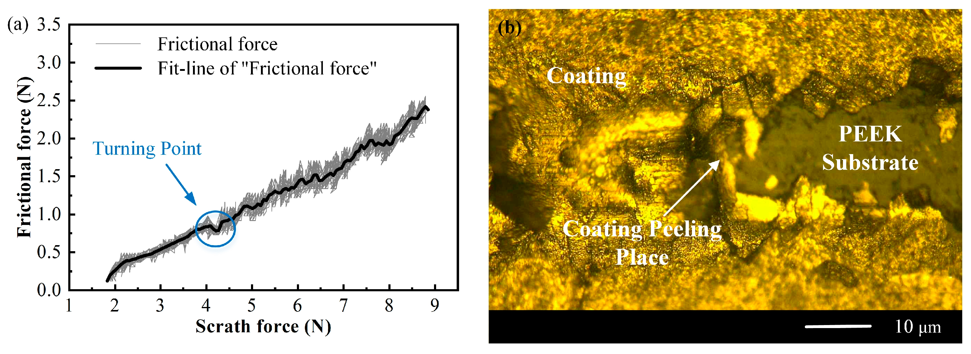 Coatings 13 00388 g006
