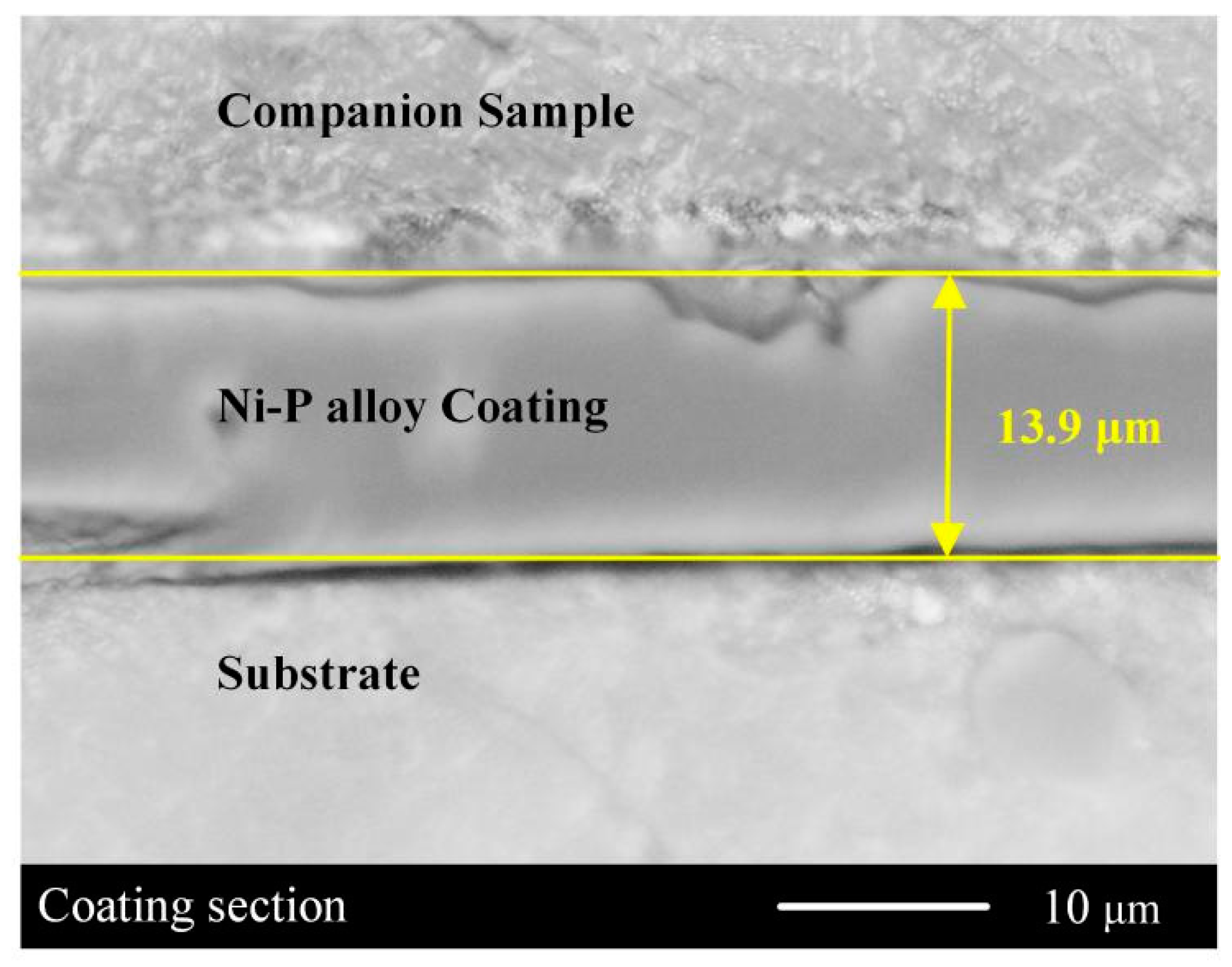 Coatings 13 00388 g010