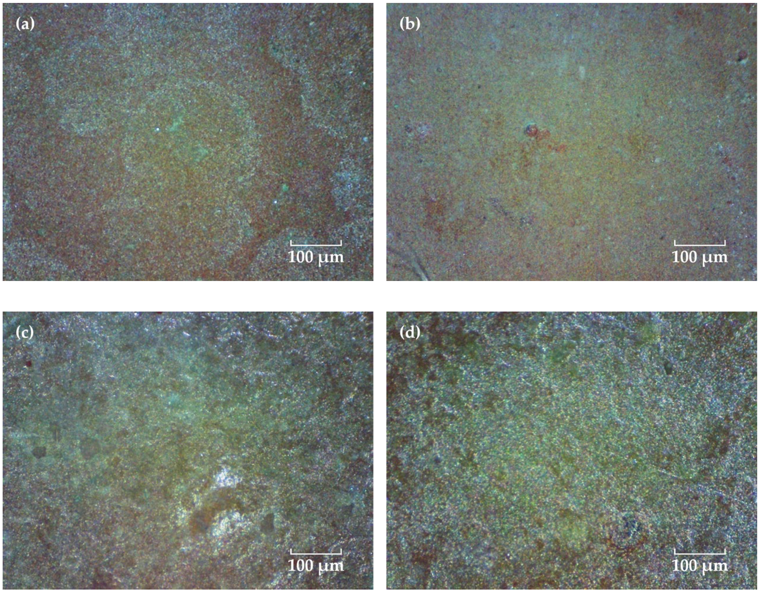 Coatings 13 00389 g002