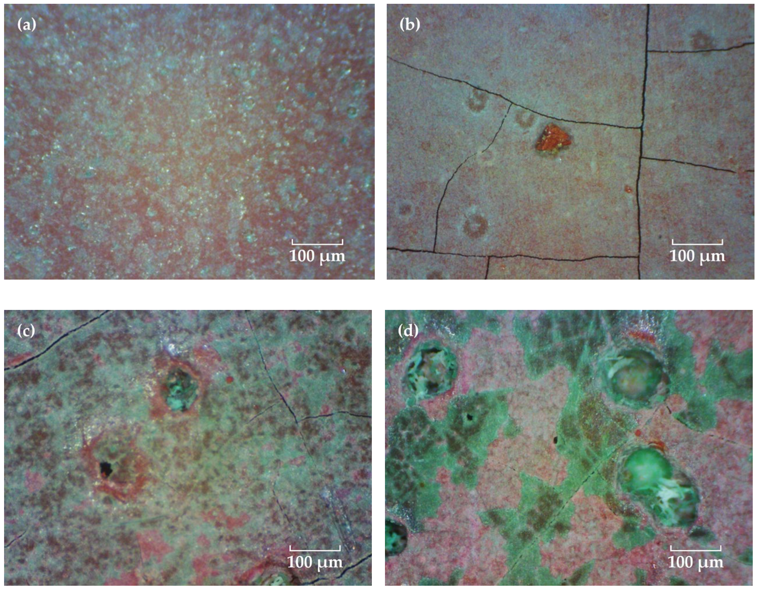 Coatings 13 00389 g004