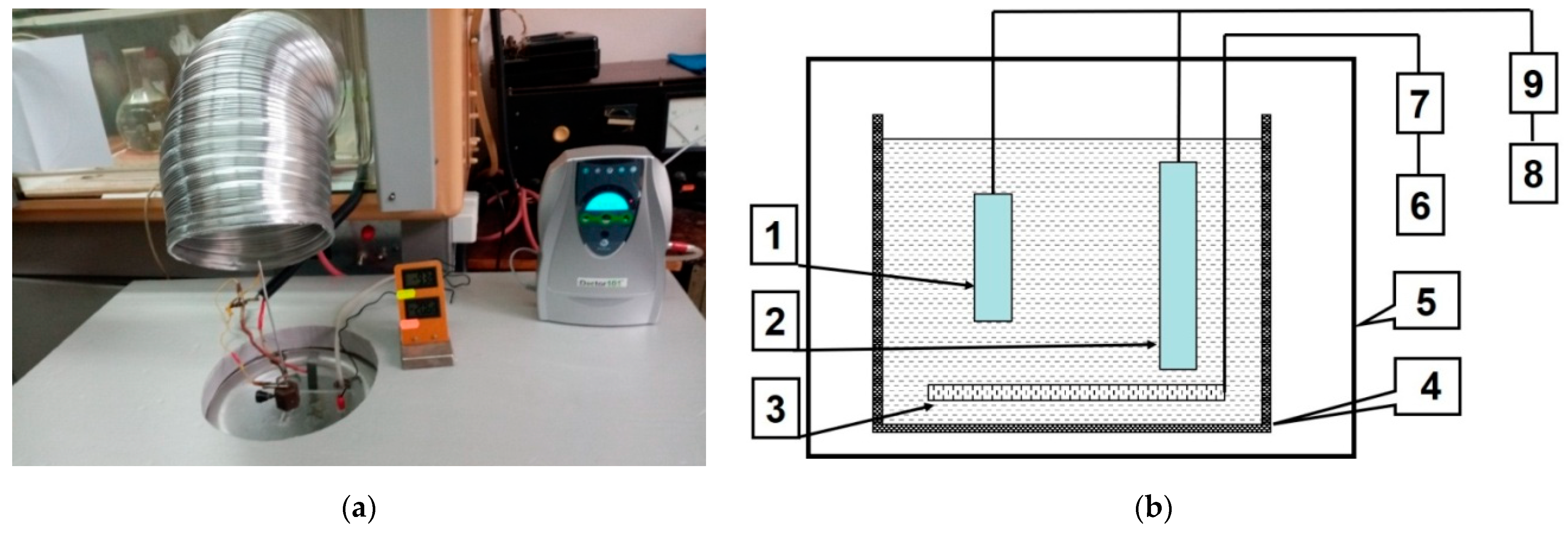 Coatings 13 00391 g001