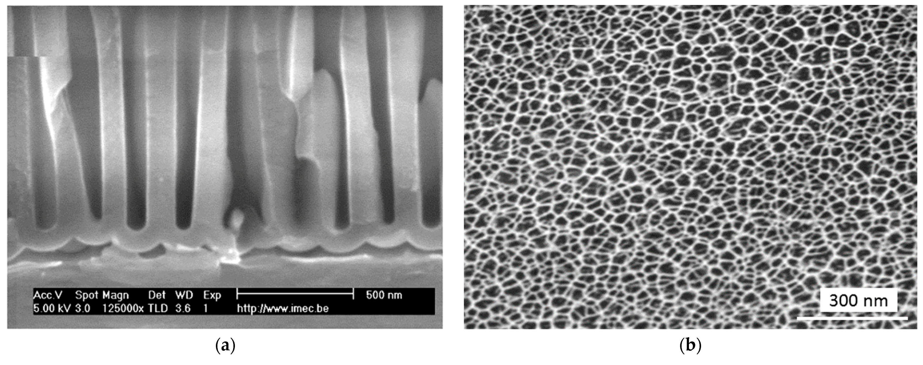 Coatings 13 00391 g004