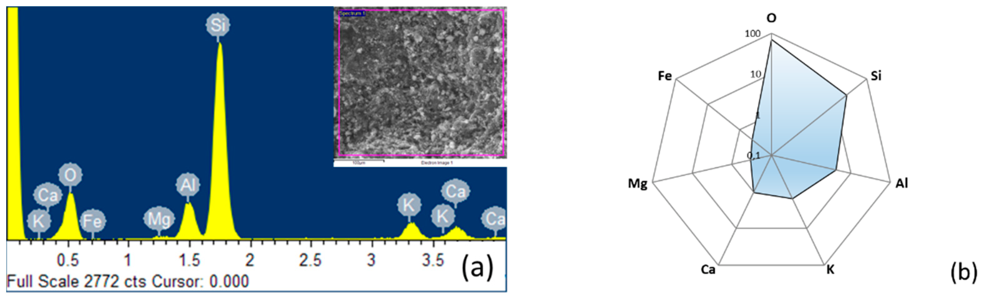 Coatings 13 00392 g001