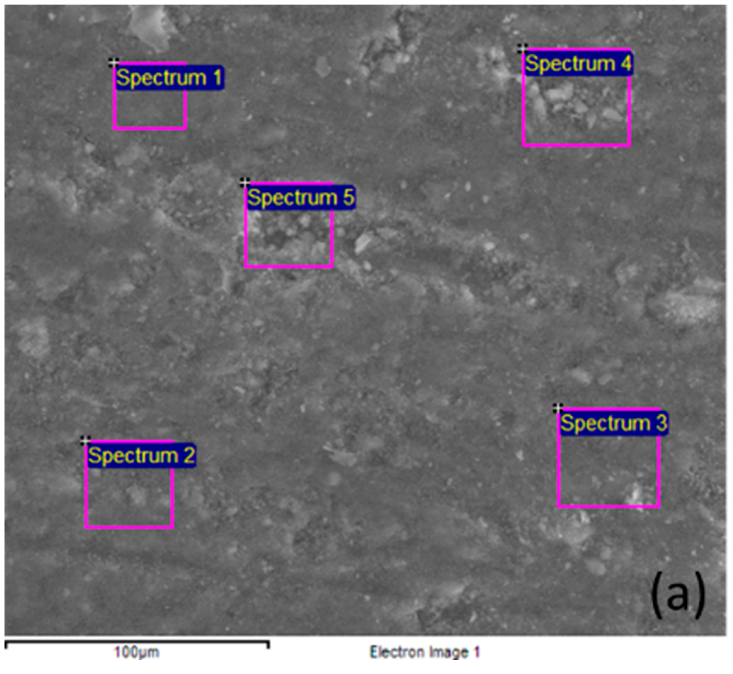 Coatings 13 00392 g002a