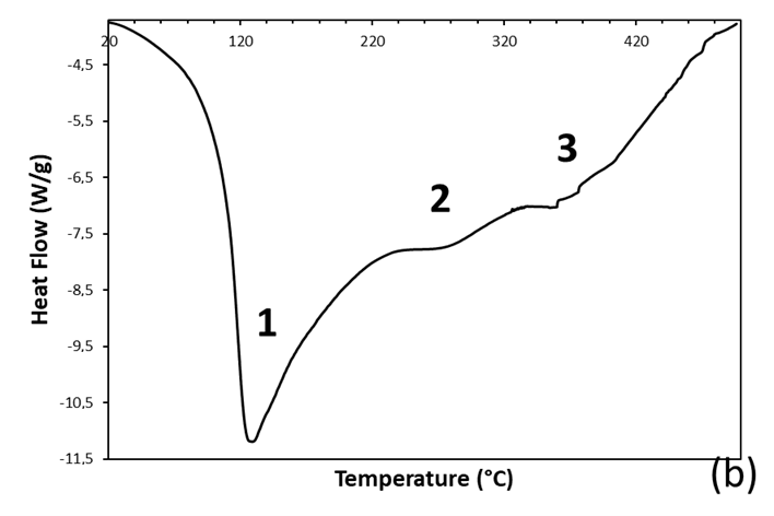 Coatings 13 00392 g004b