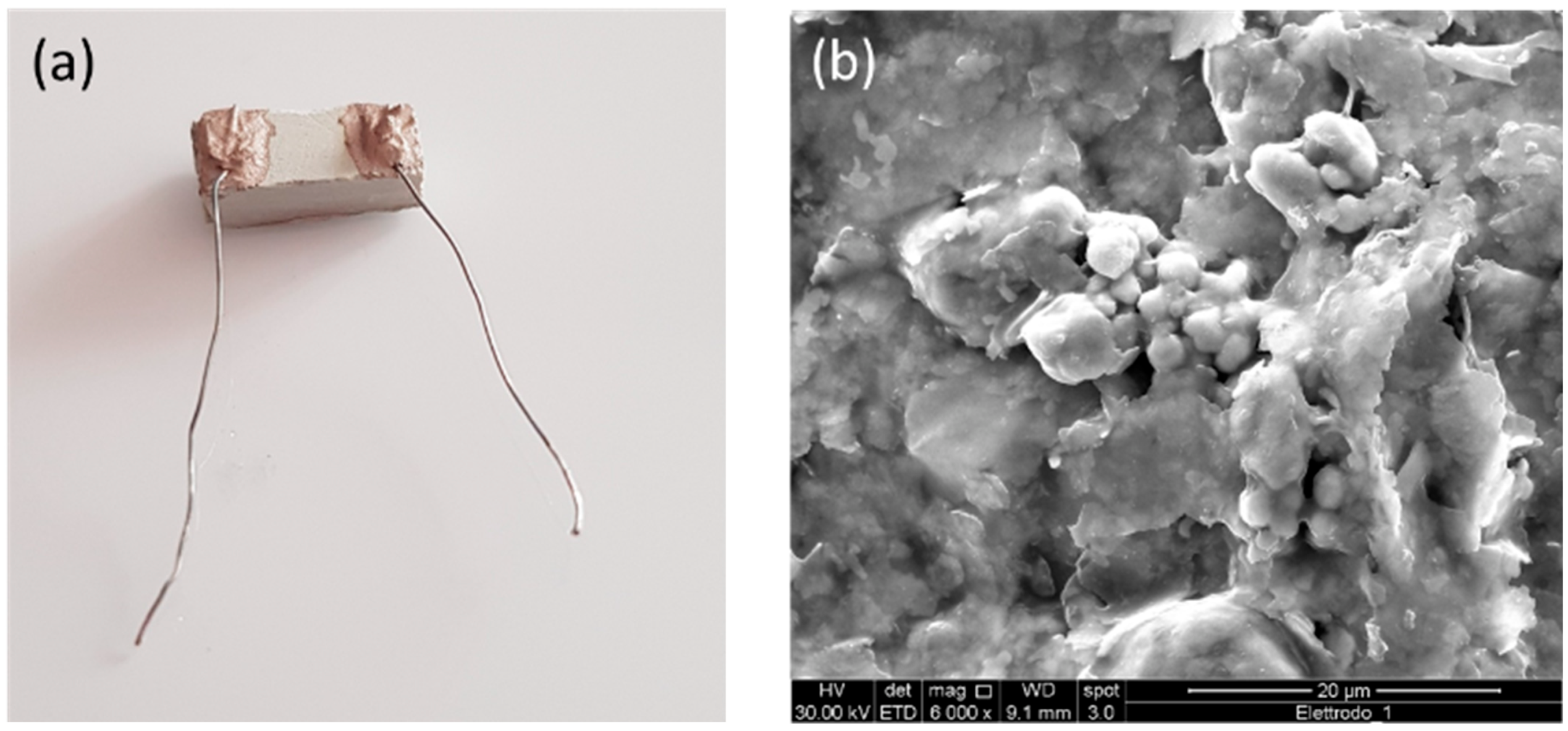 Coatings 13 00392 g006