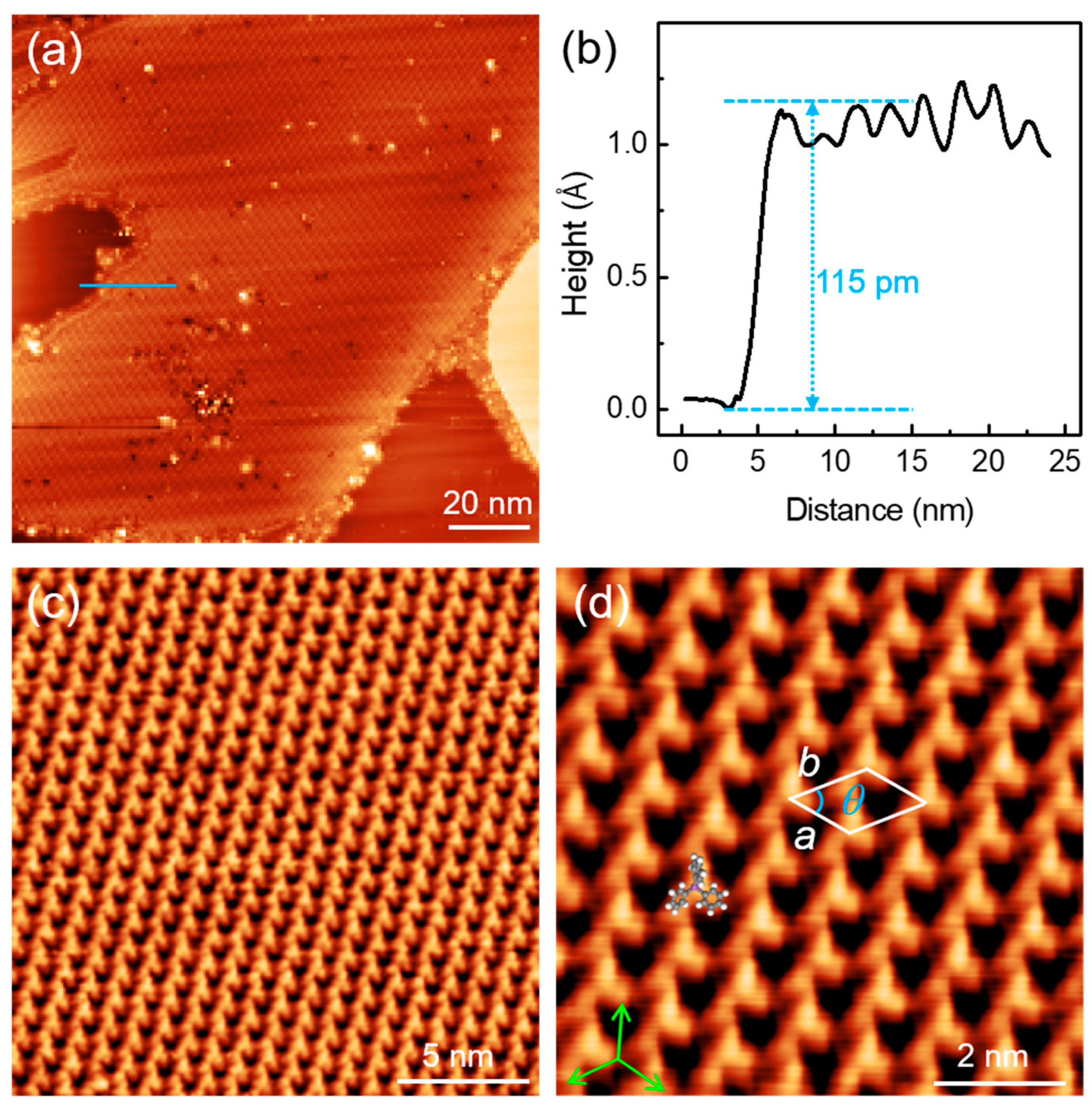 Coatings 13 00394 g002
