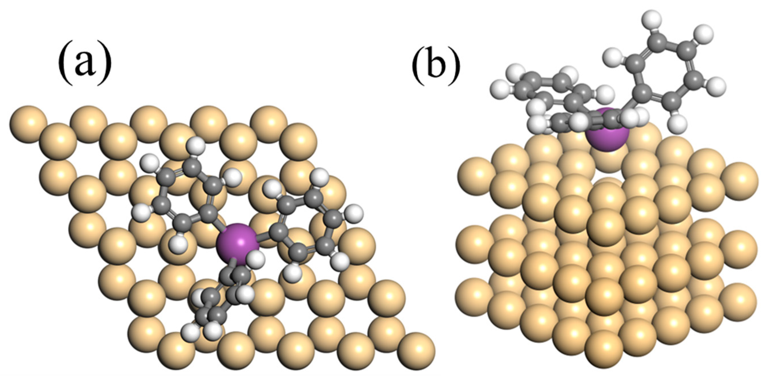 Coatings 13 00394 g005