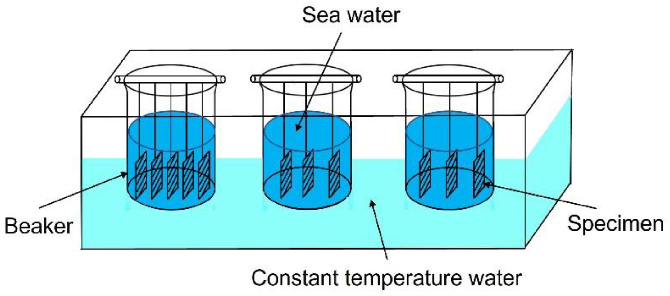 Coatings 13 00397 g003