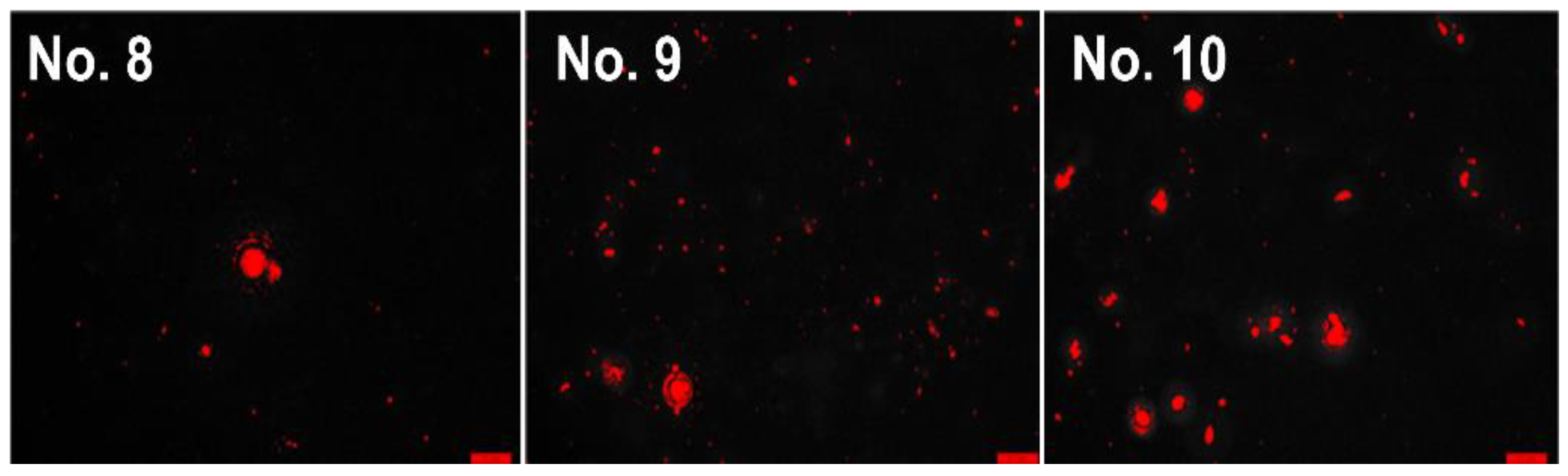 Coatings 13 00397 g008