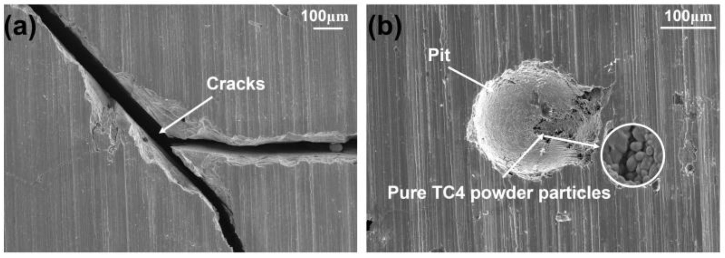 Coatings 13 00397 g017