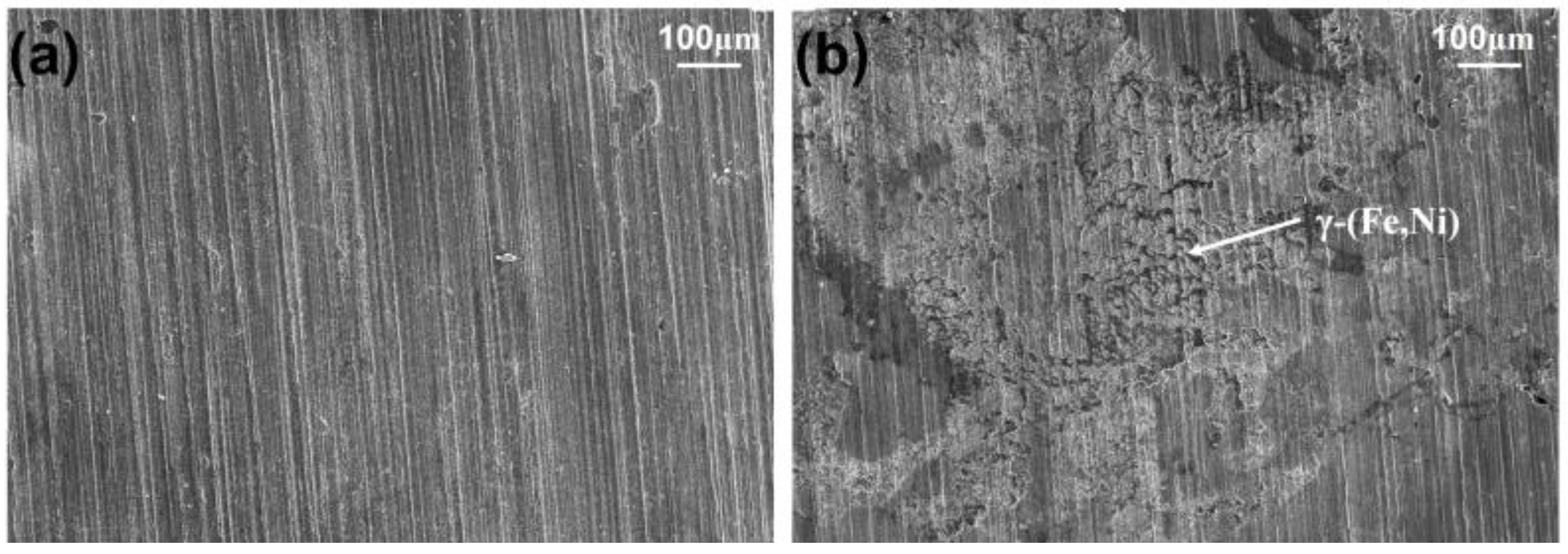 Coatings 13 00397 g019