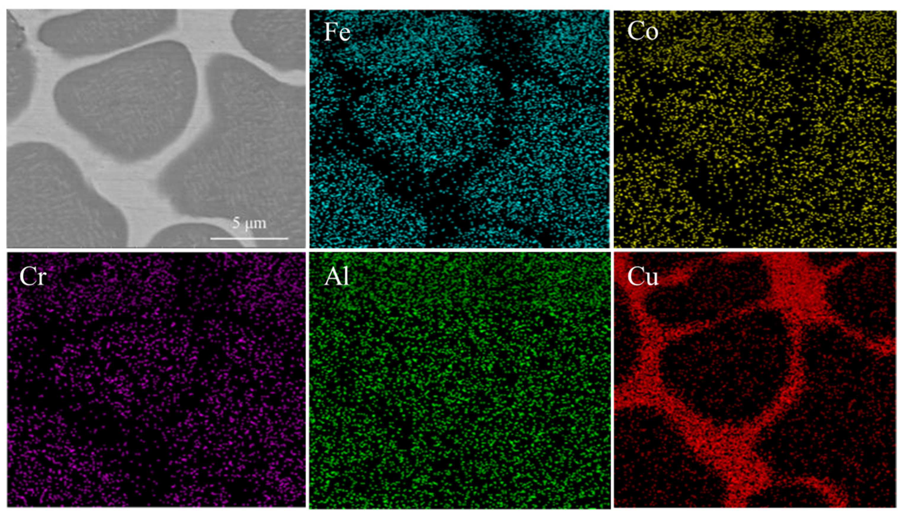 Coatings 13 00399 g005