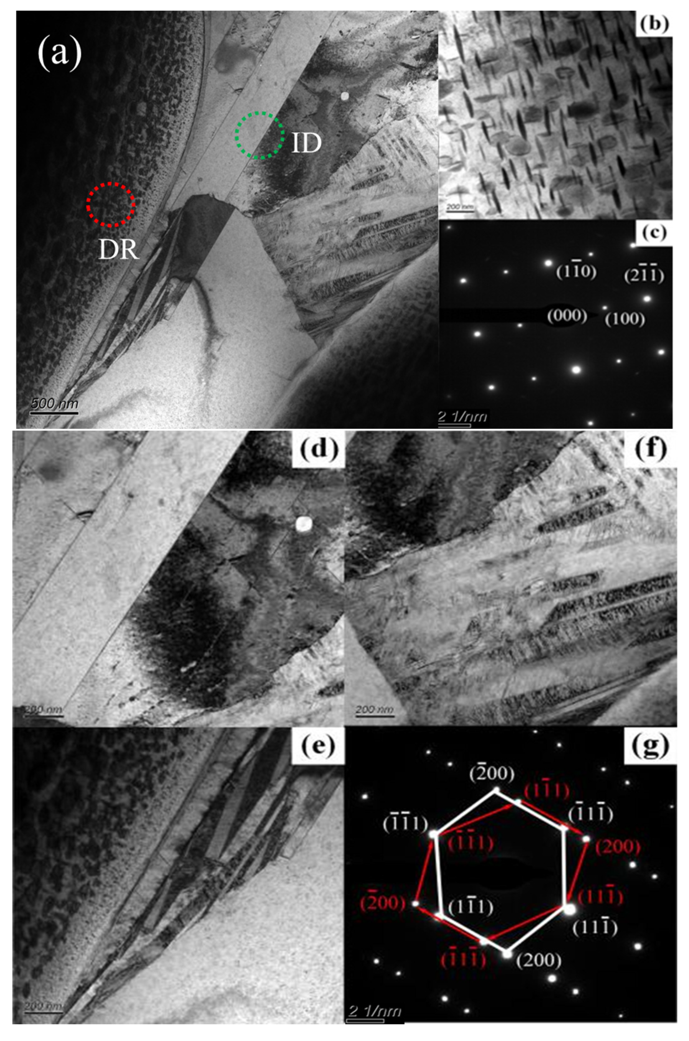Coatings 13 00399 g006