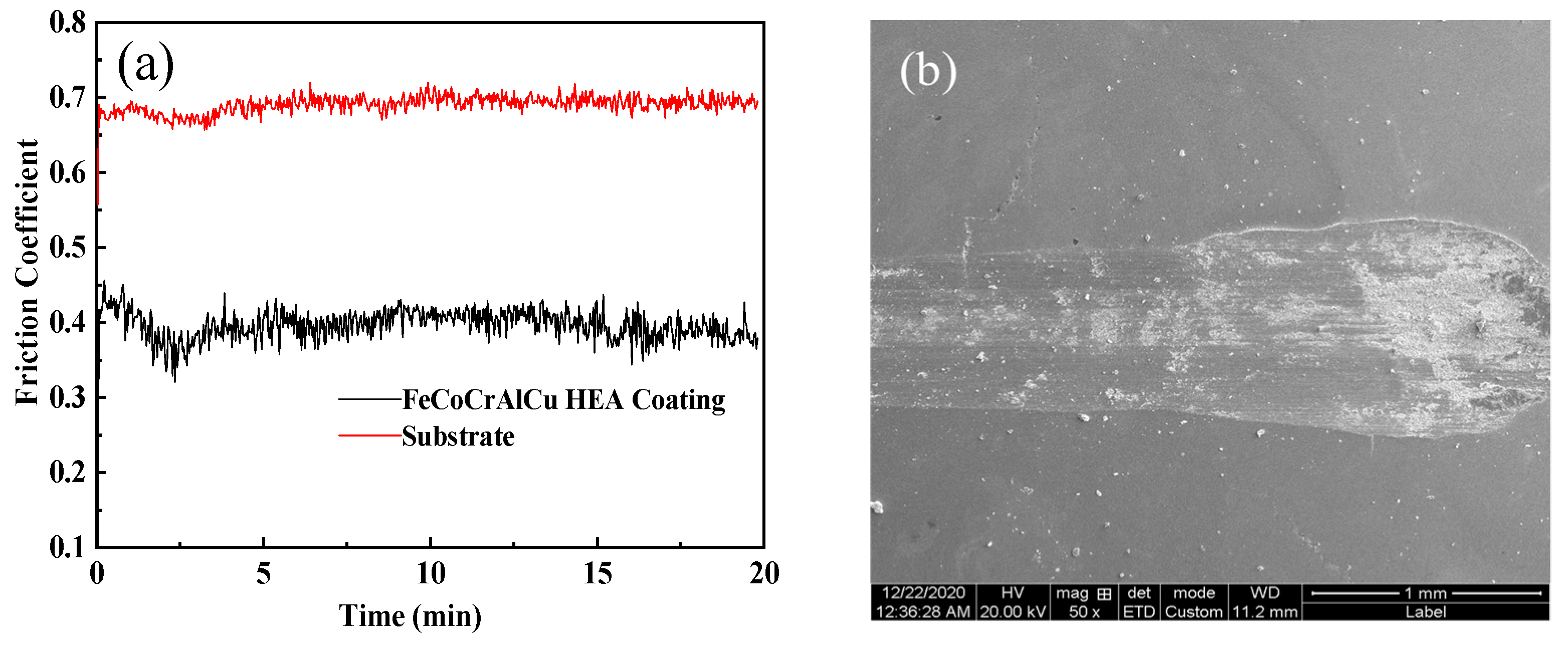Coatings 13 00399 g007a