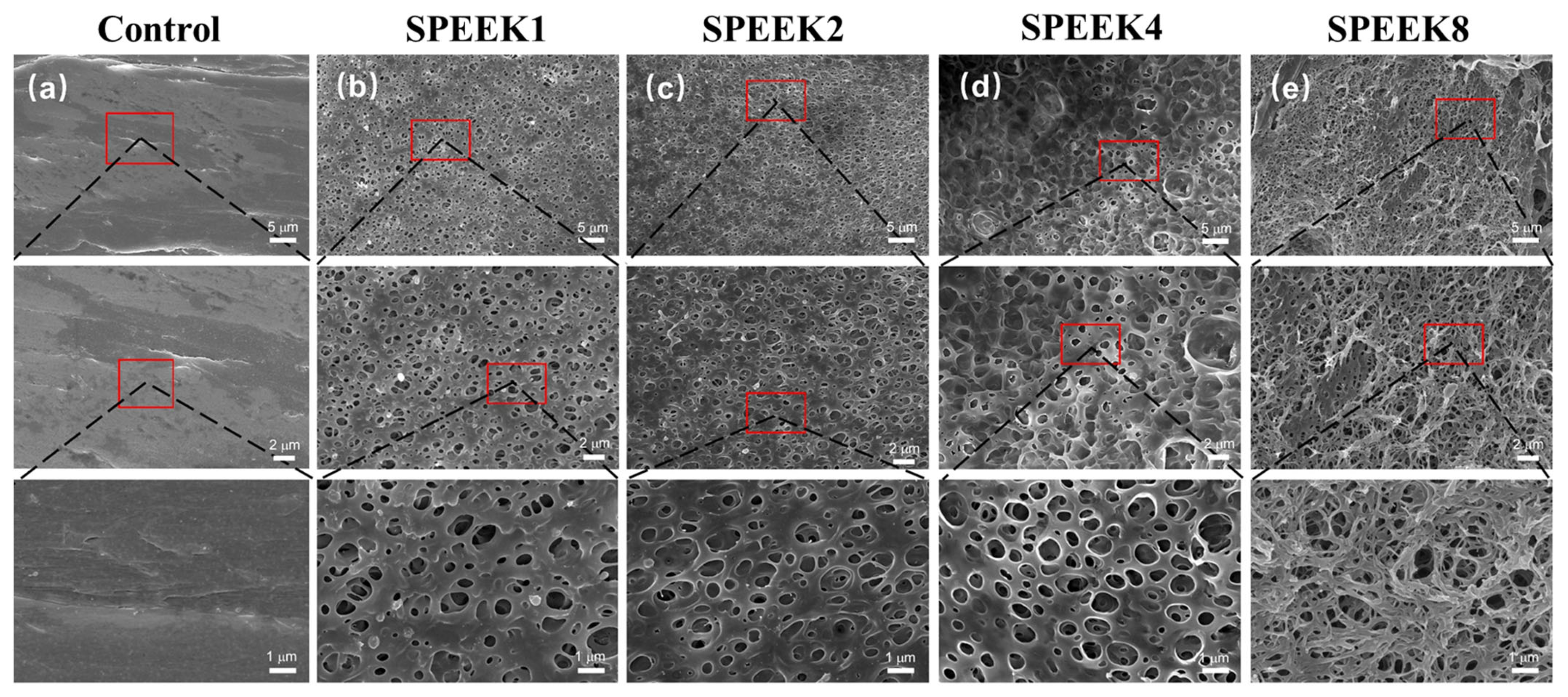 Coatings 13 00400 g001