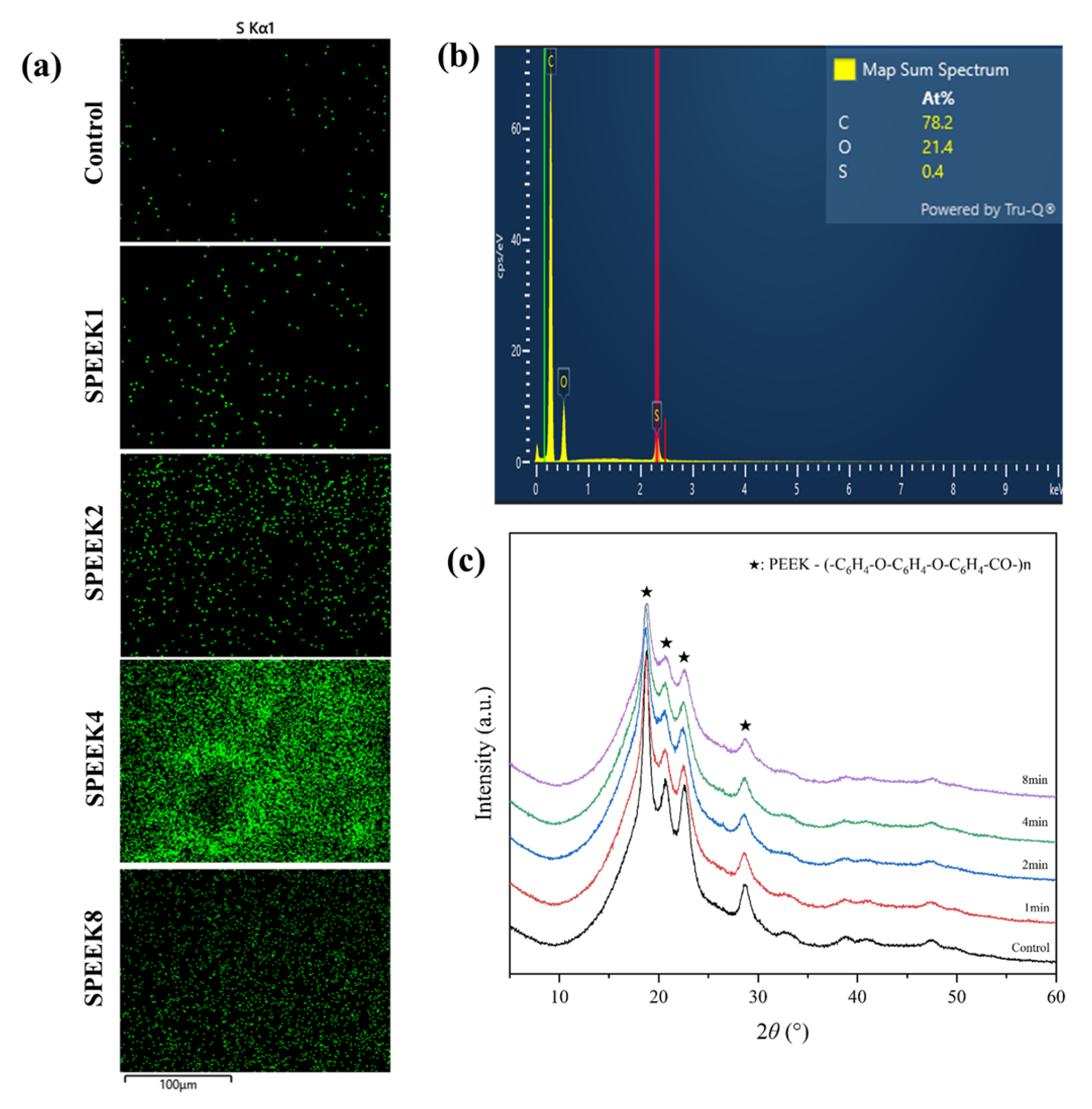 Coatings 13 00400 g002