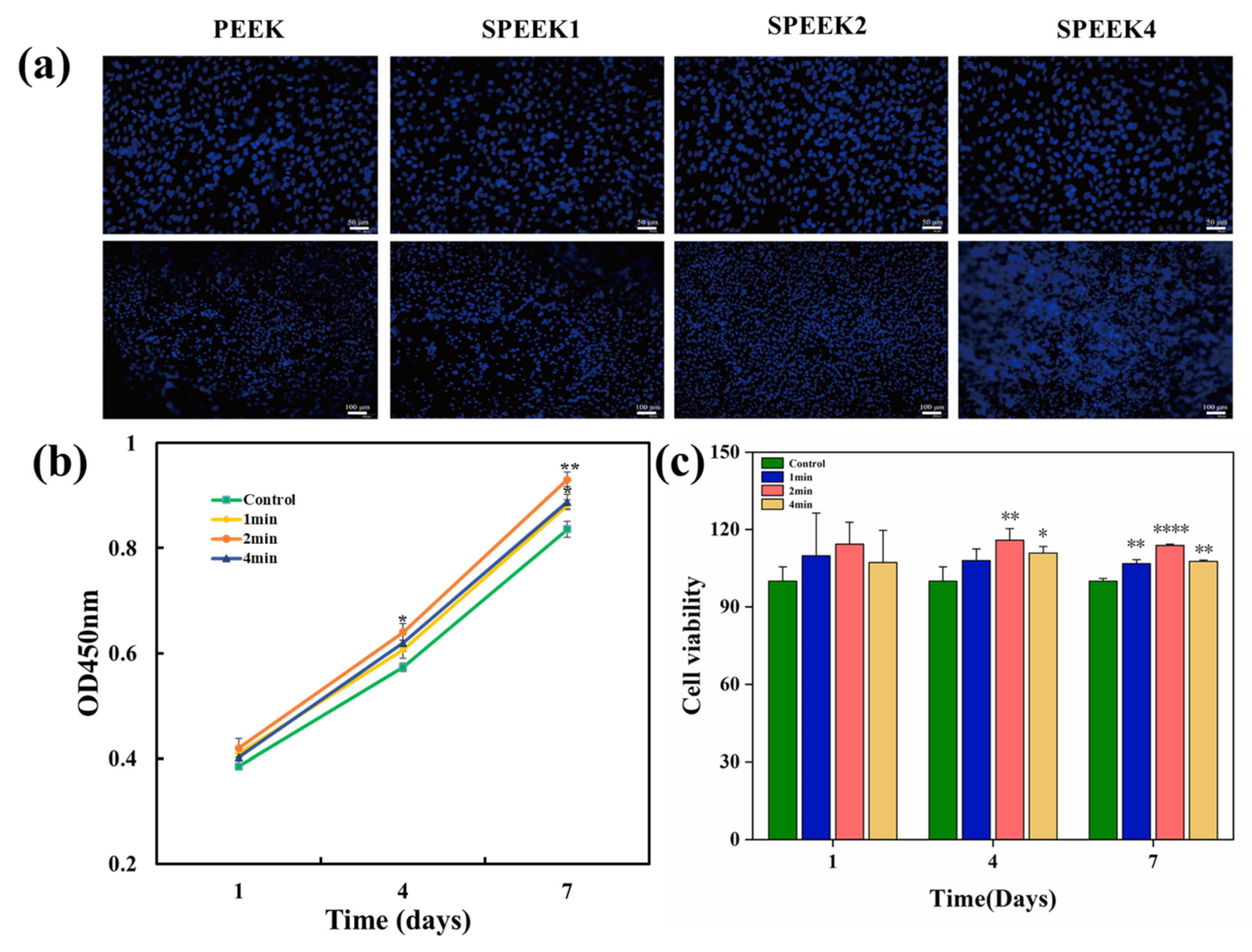Coatings 13 00400 g005