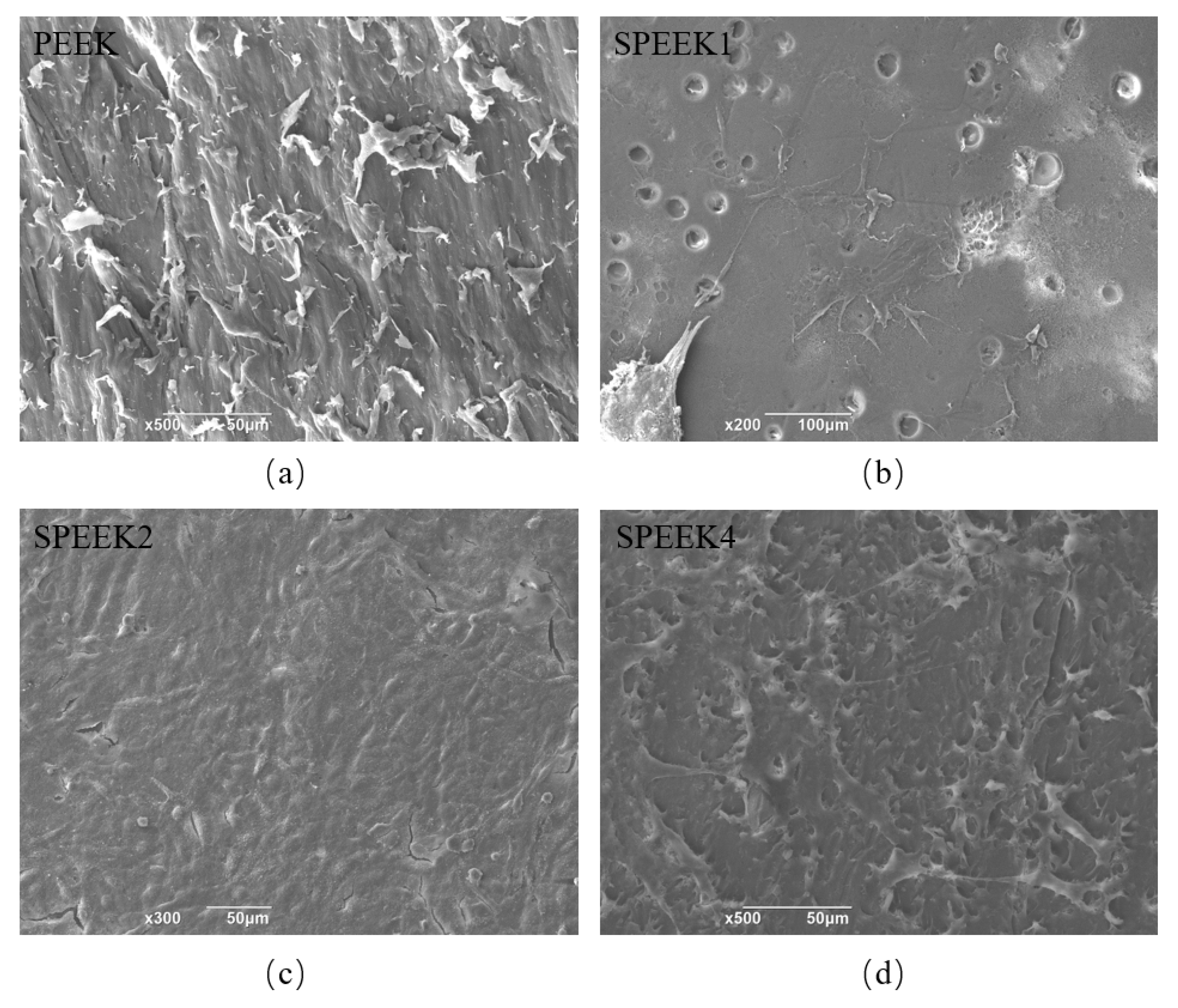 Coatings 13 00400 g006