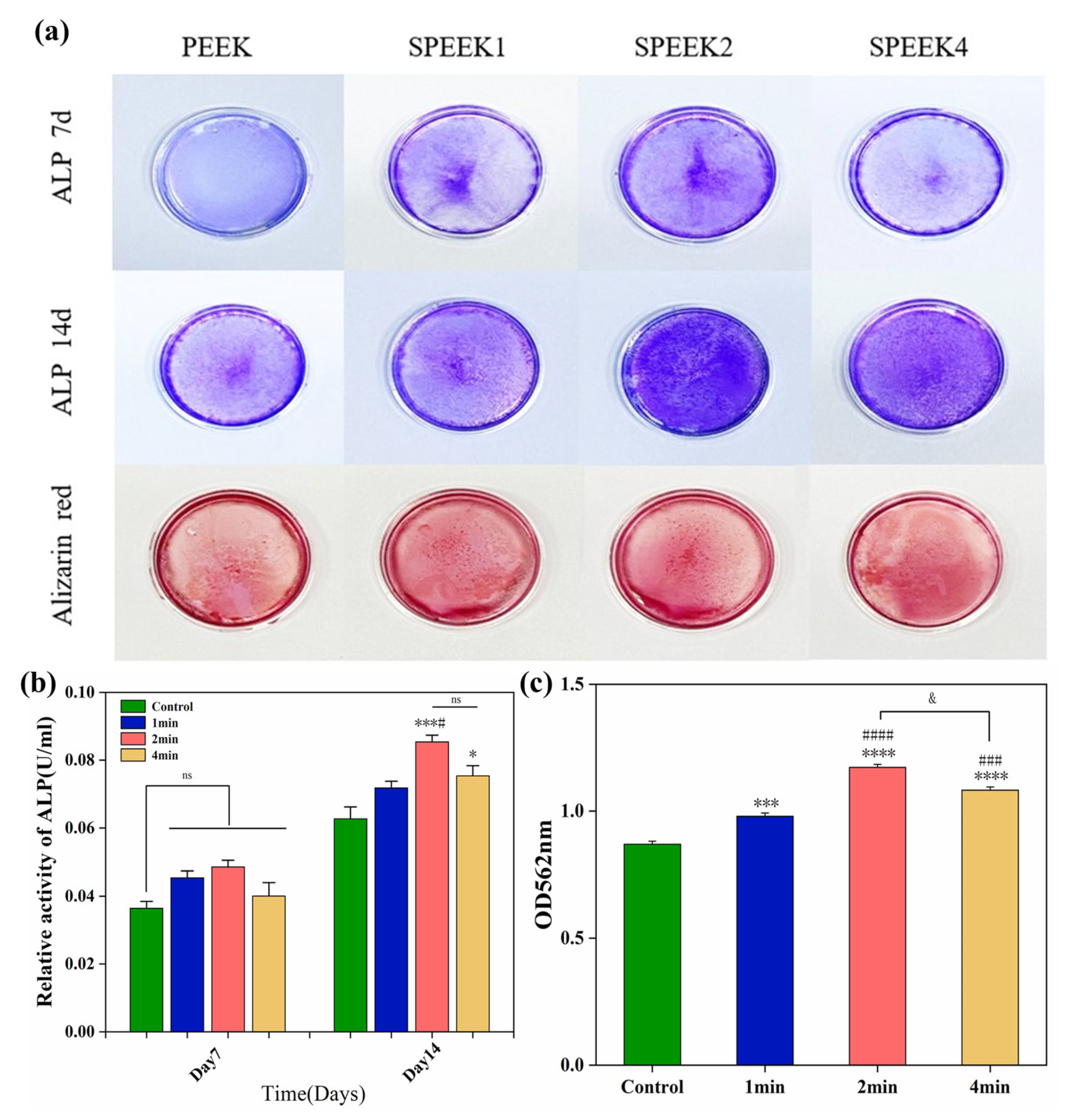 Coatings 13 00400 g007