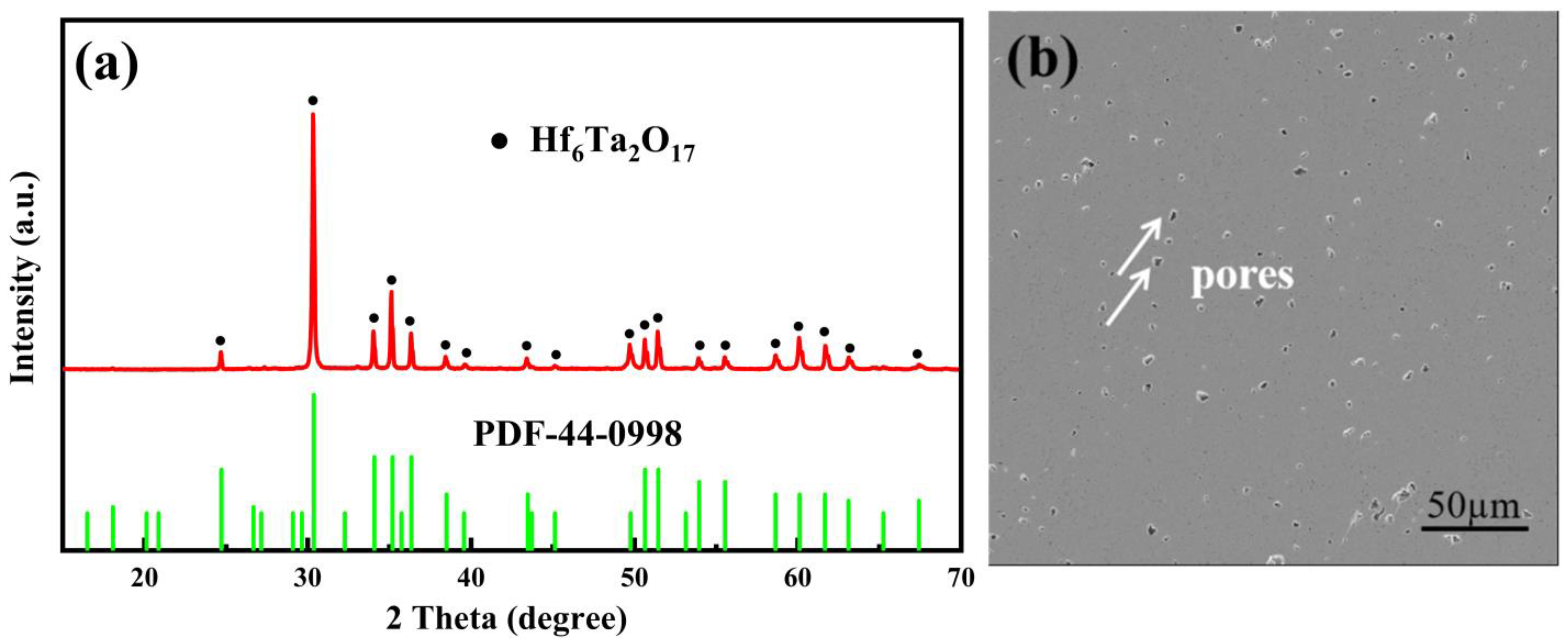 Coatings 13 00404 g002