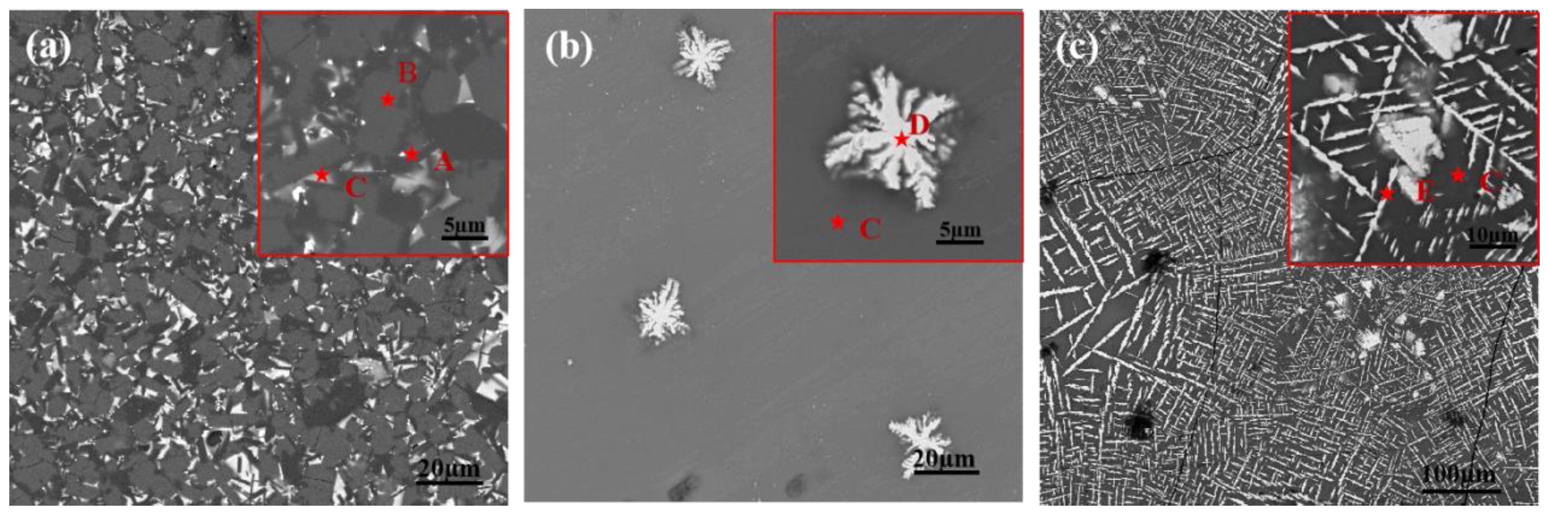 Coatings 13 00404 g003