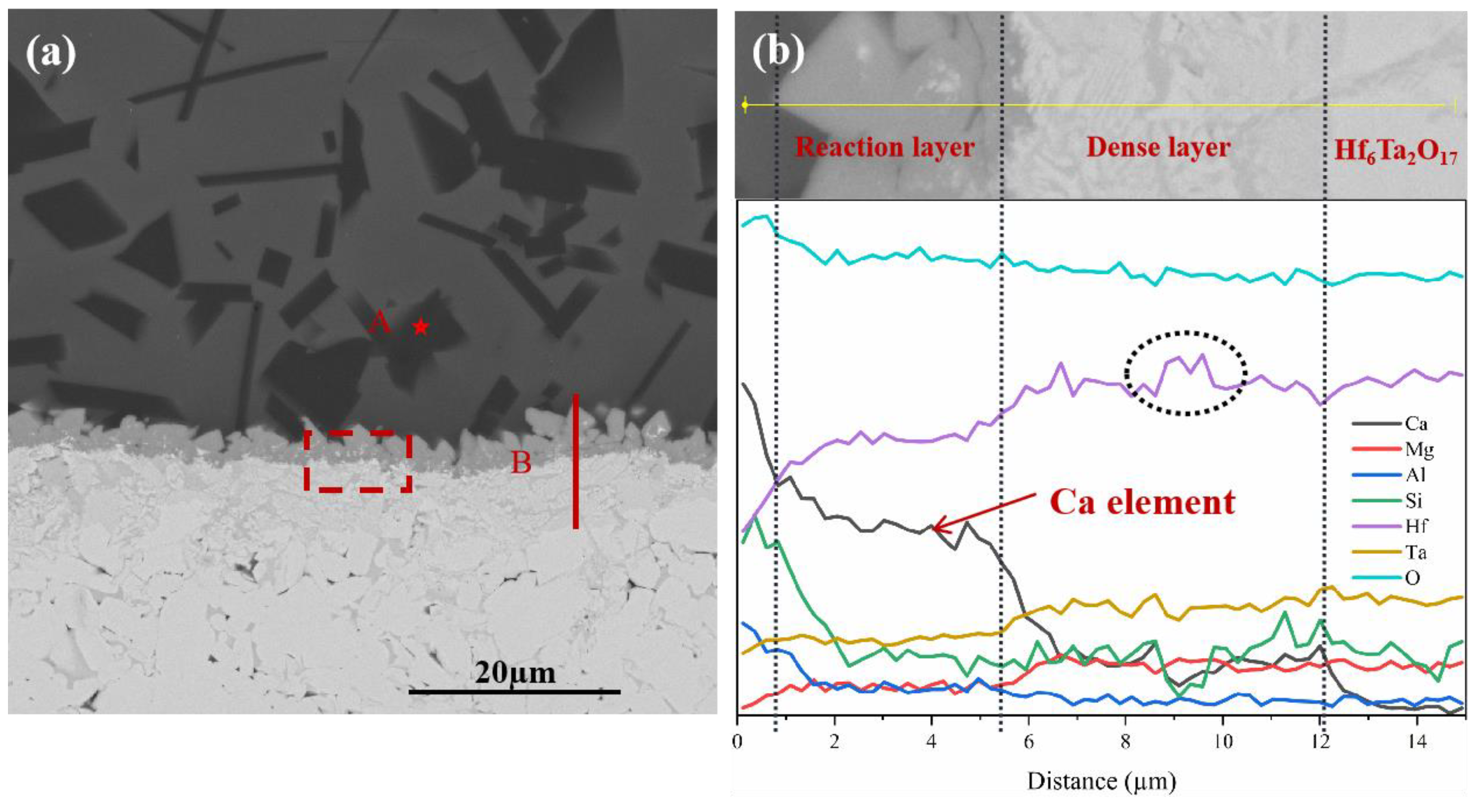 Coatings 13 00404 g008