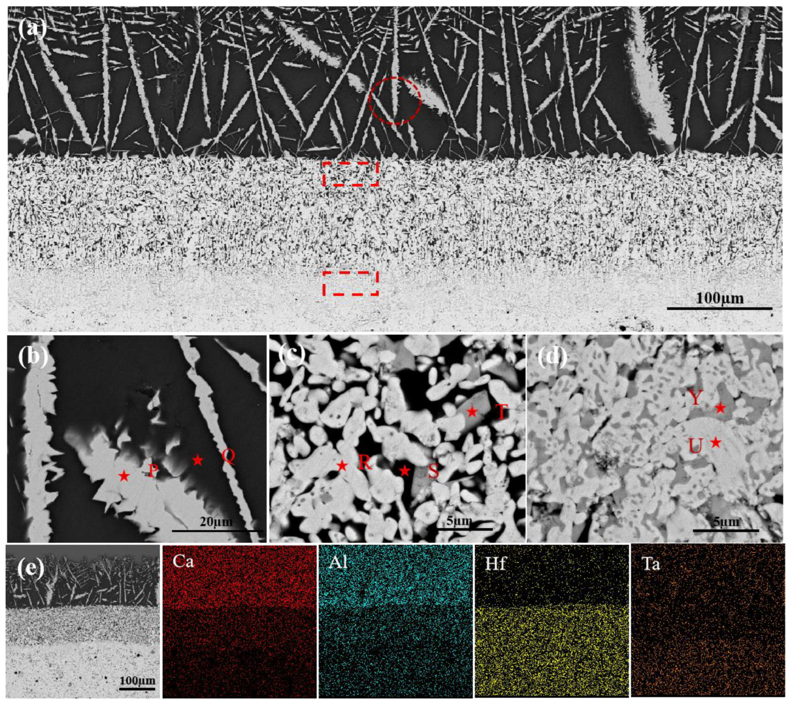 Coatings 13 00404 g013