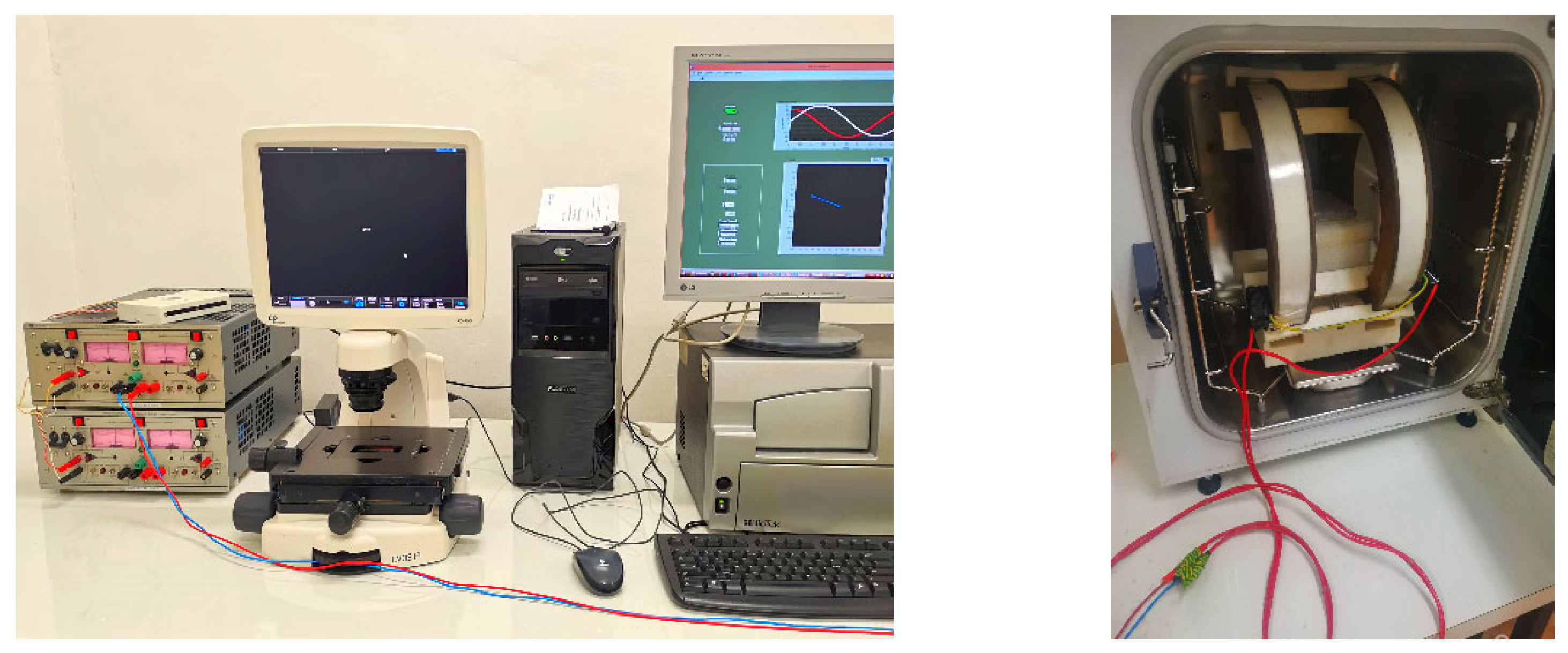 Coatings 13 00406 g001