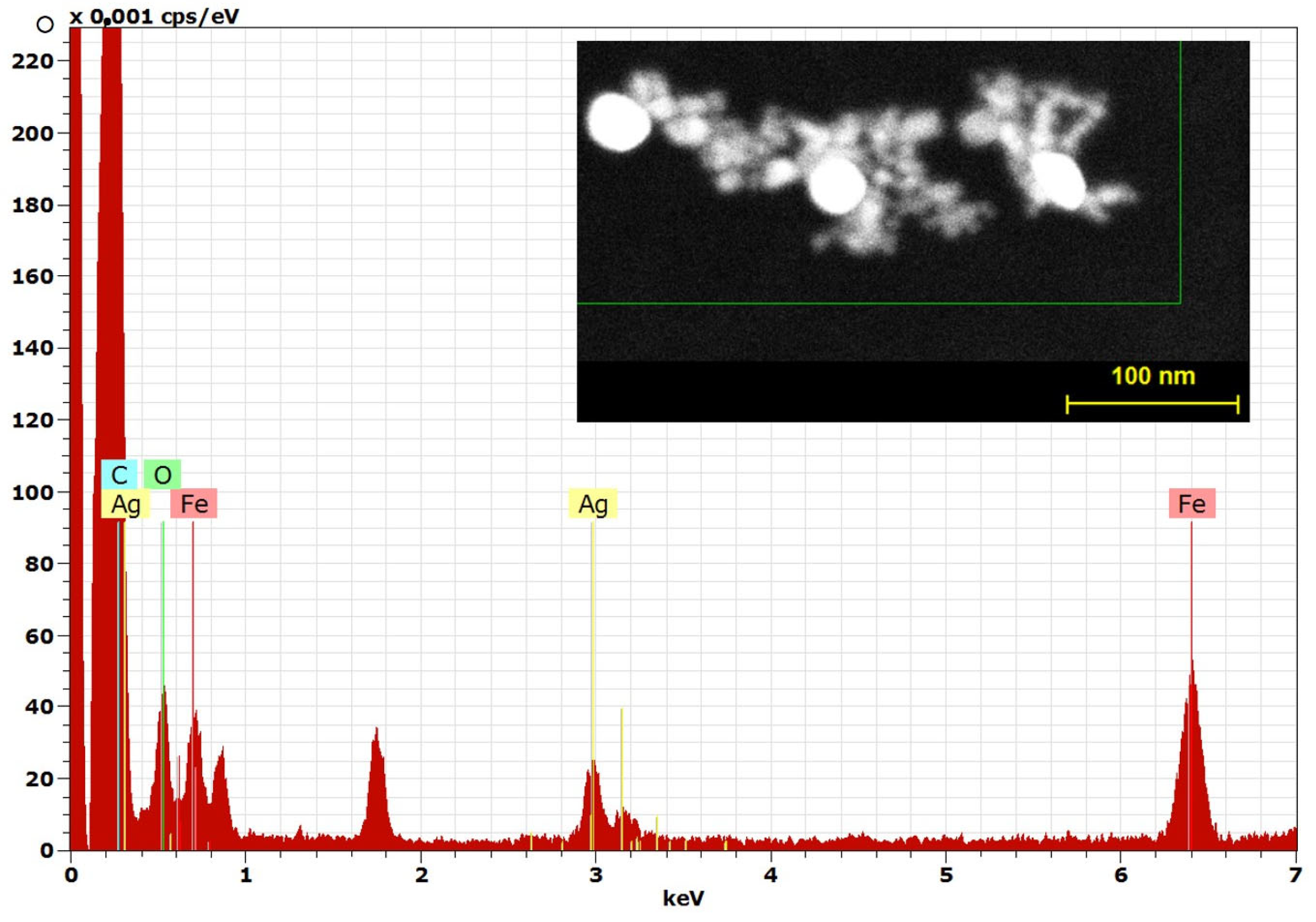Coatings 13 00406 g004