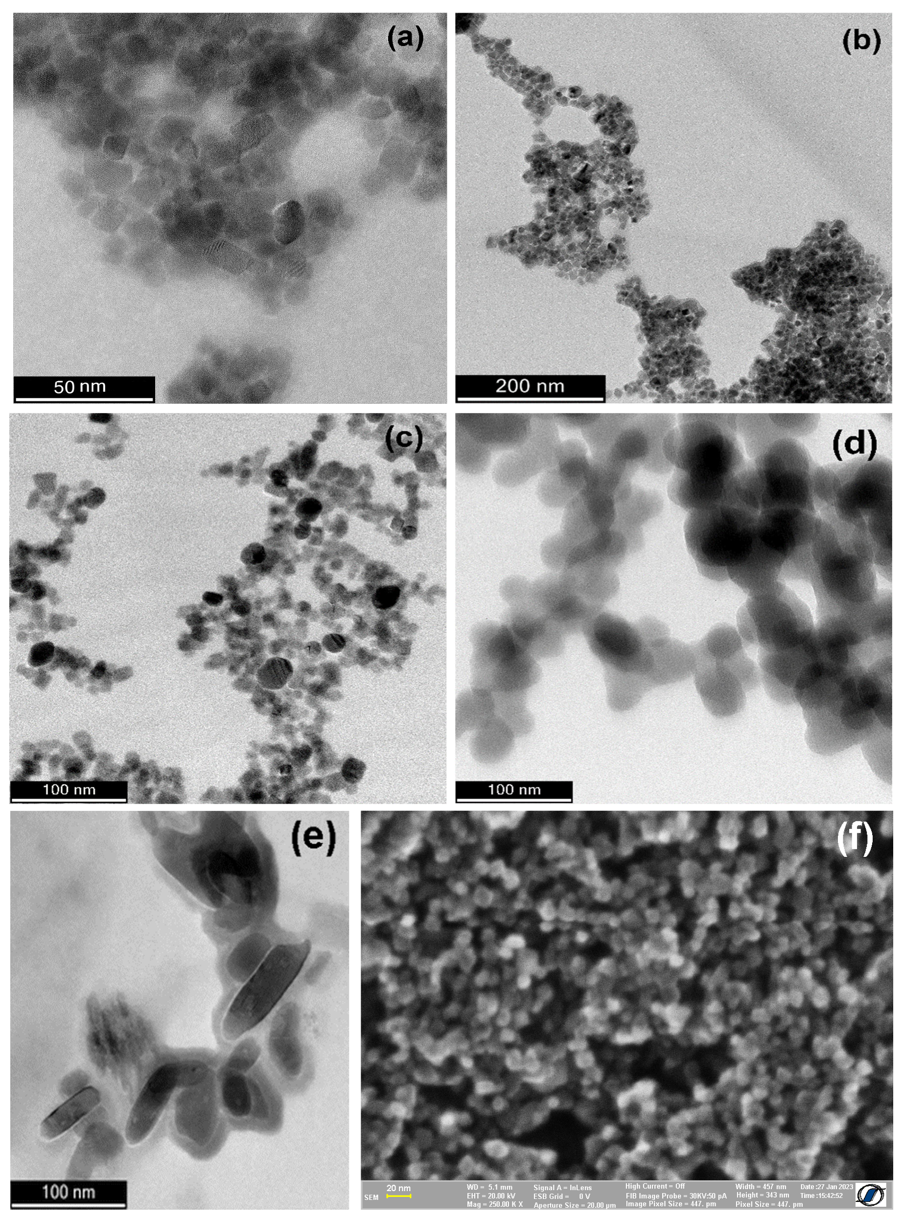 Coatings 13 00406 g007