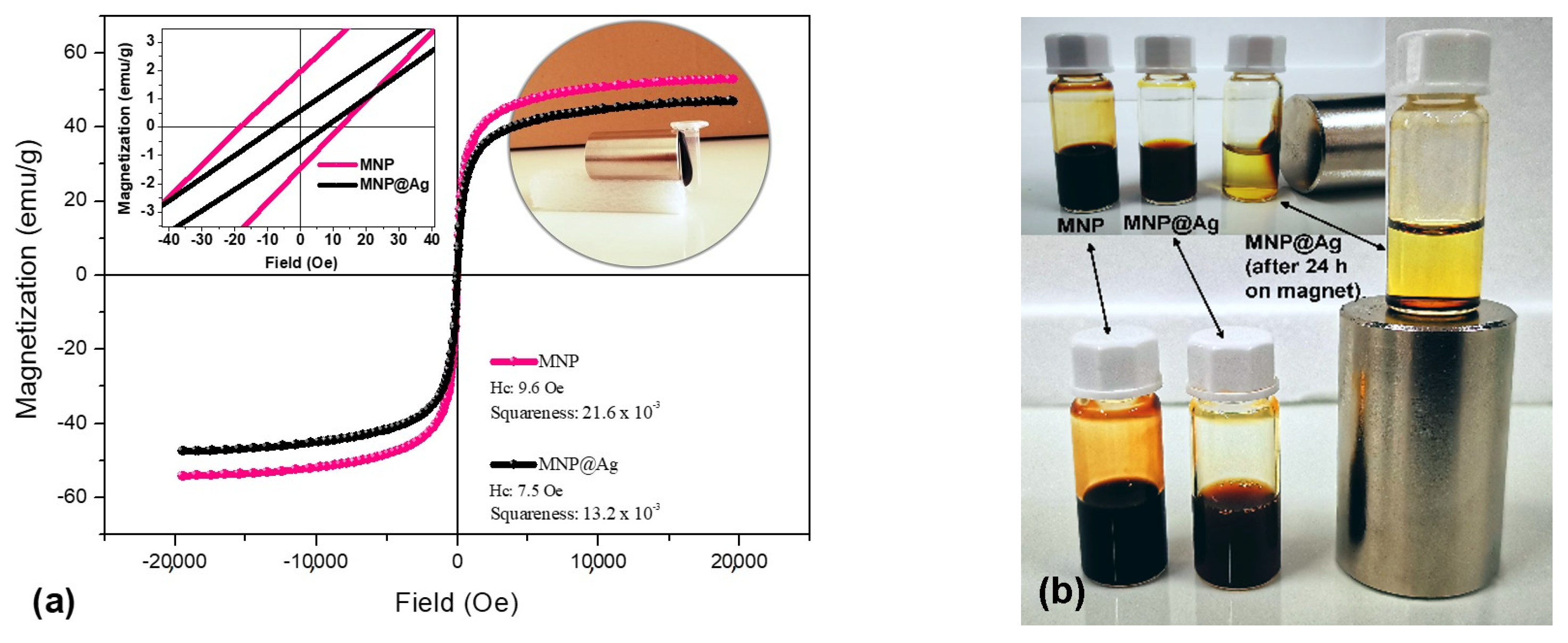 Coatings 13 00406 g008