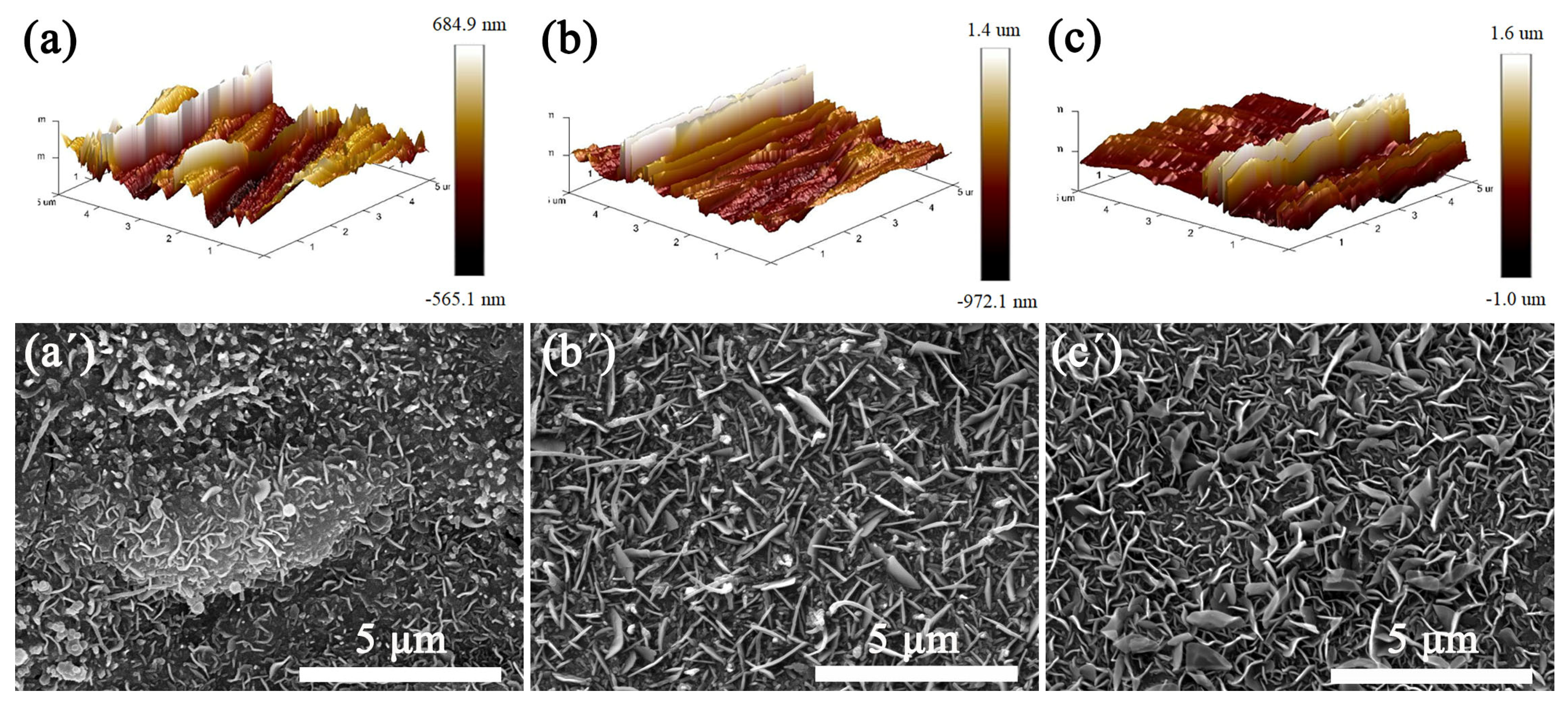 Coatings 13 00407 g003
