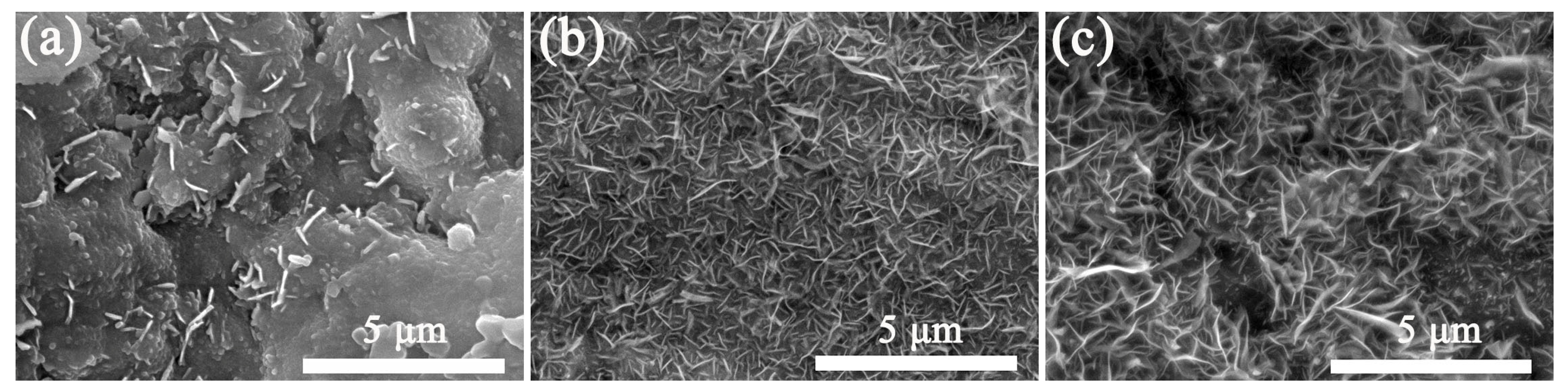 Coatings 13 00407 g004