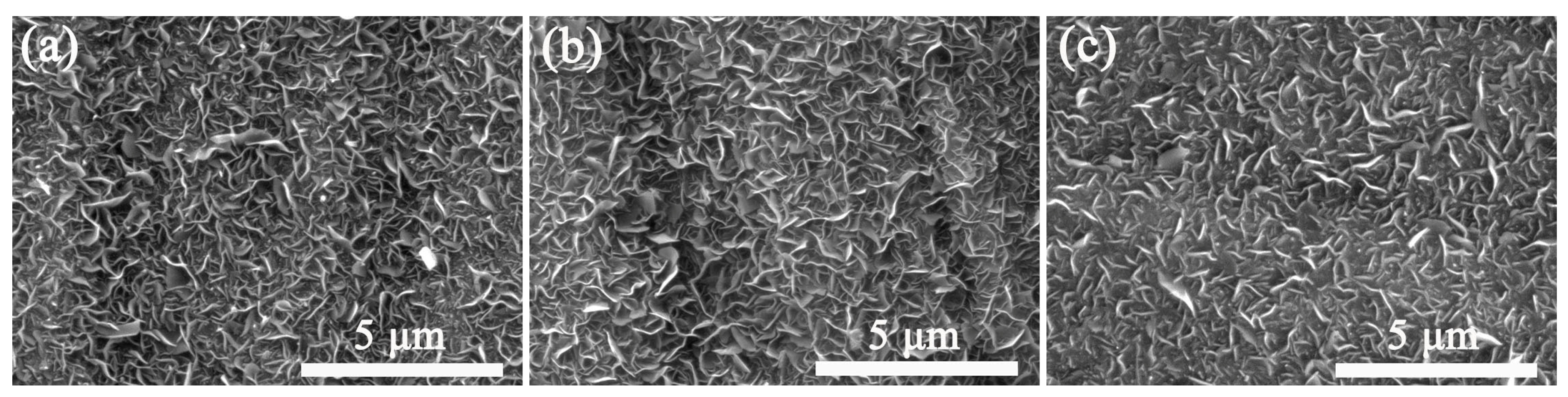 Coatings 13 00407 g006