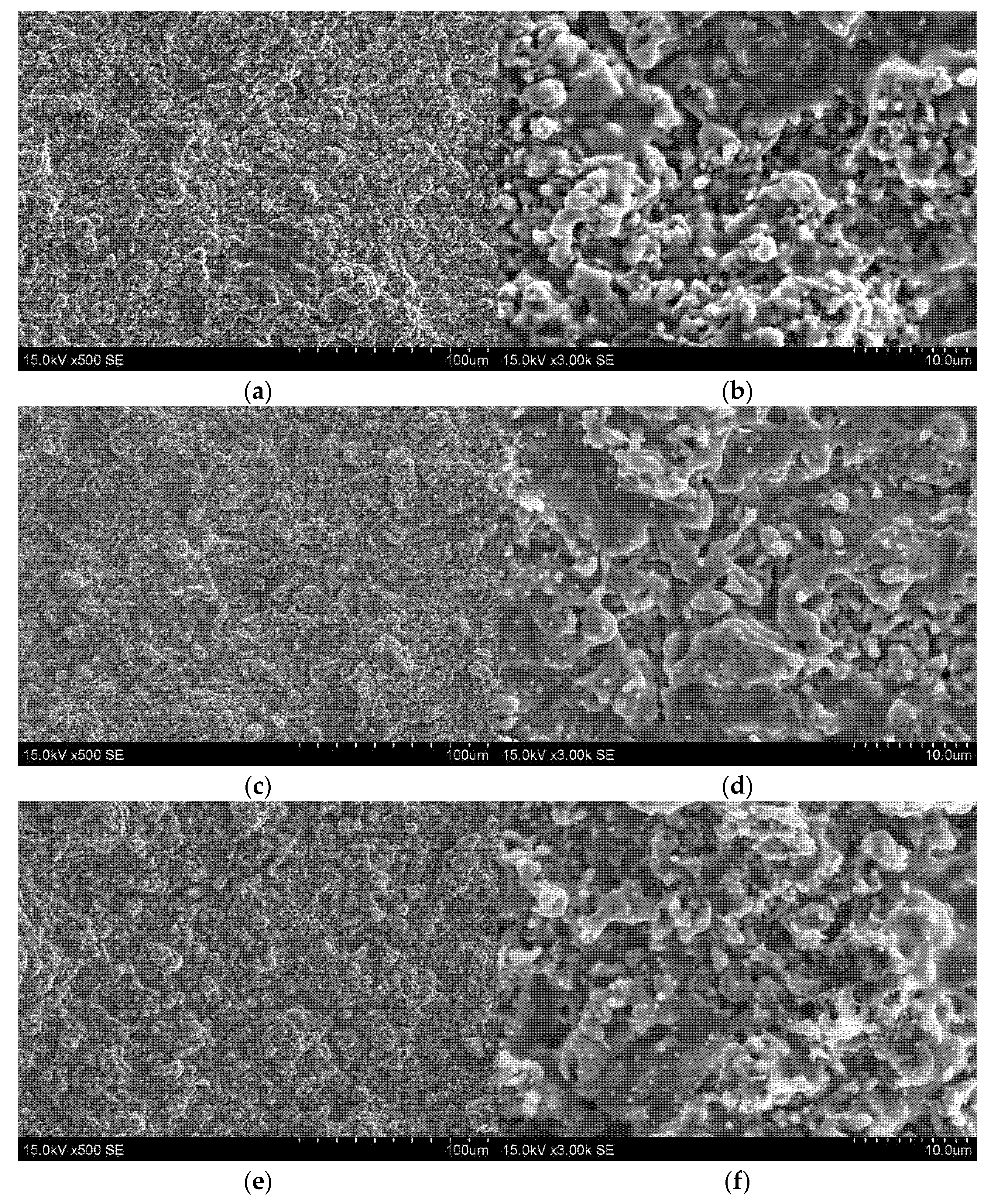 Coatings 13 00408 g001