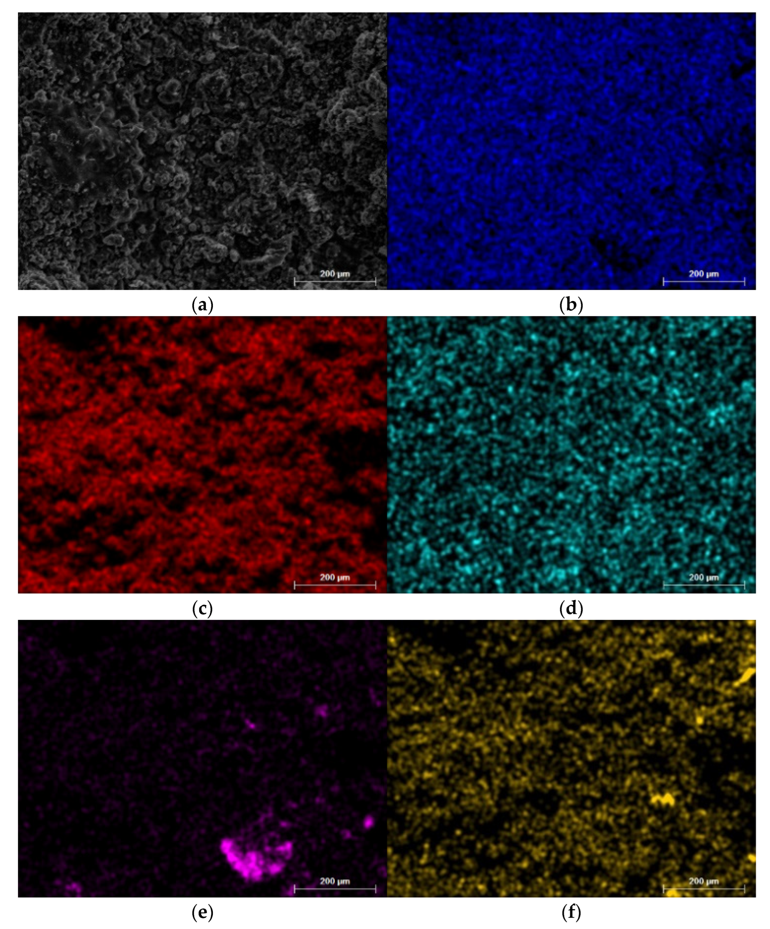 Coatings 13 00408 g003