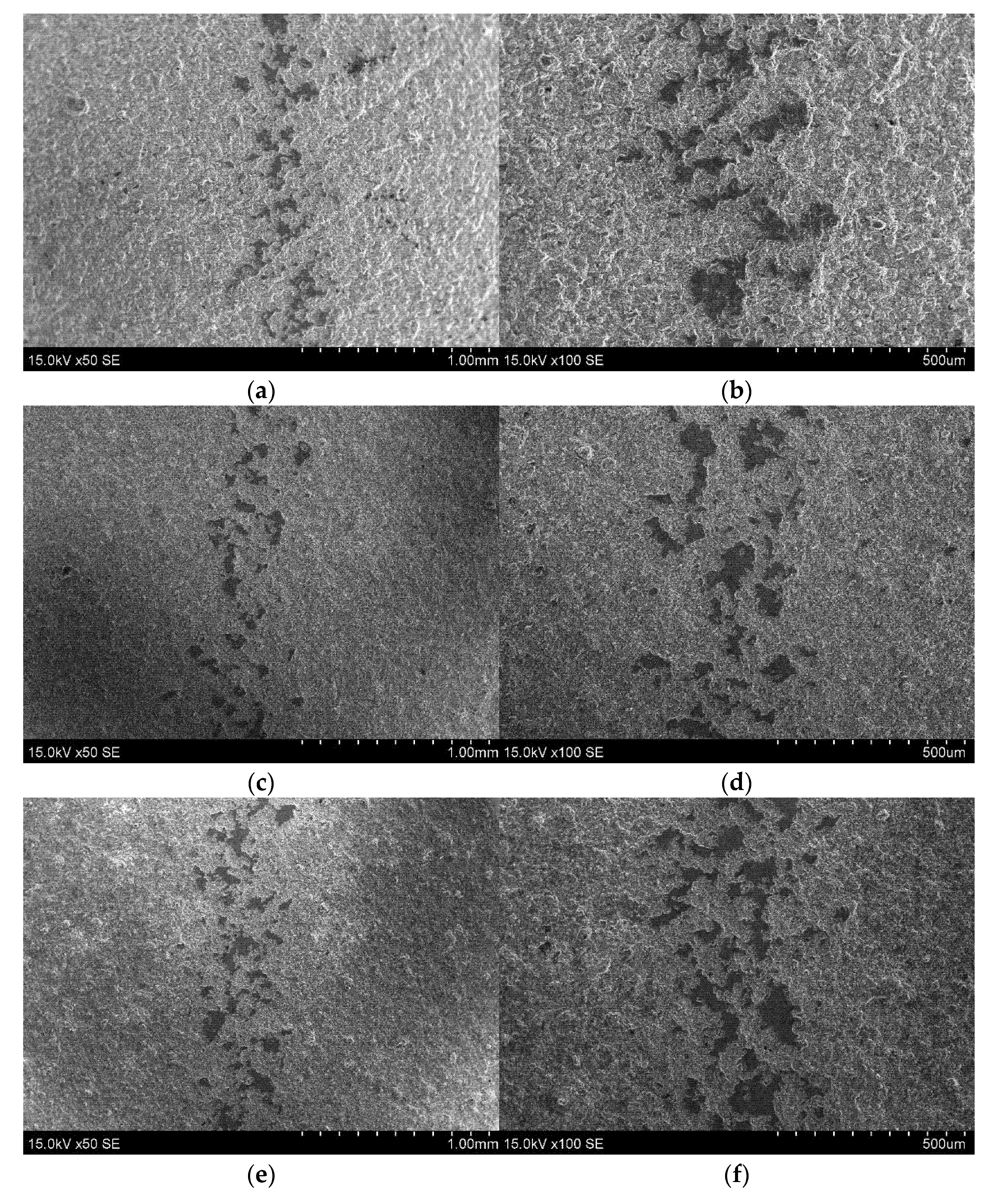 Coatings 13 00408 g008