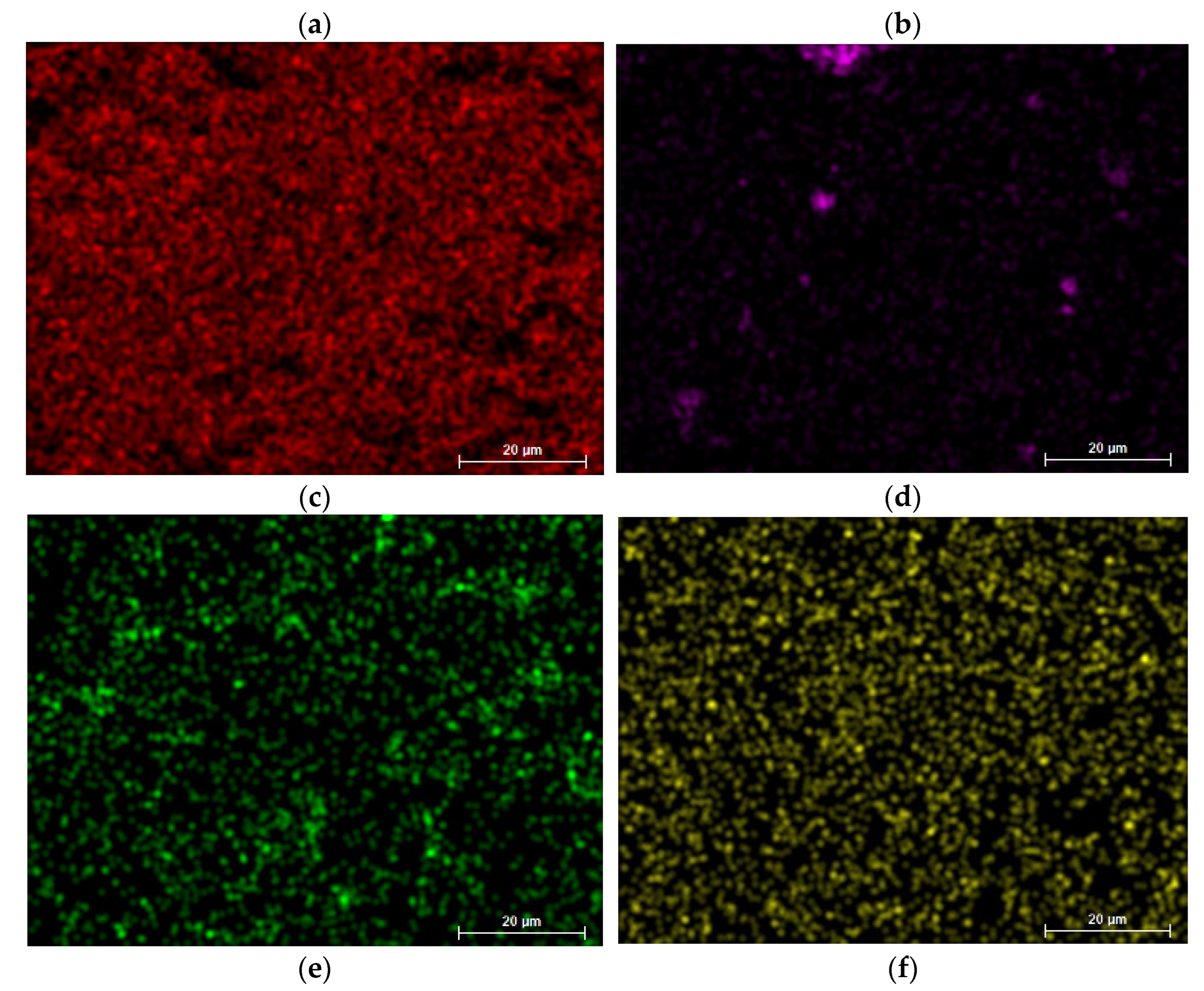 Coatings 13 00408 g010b